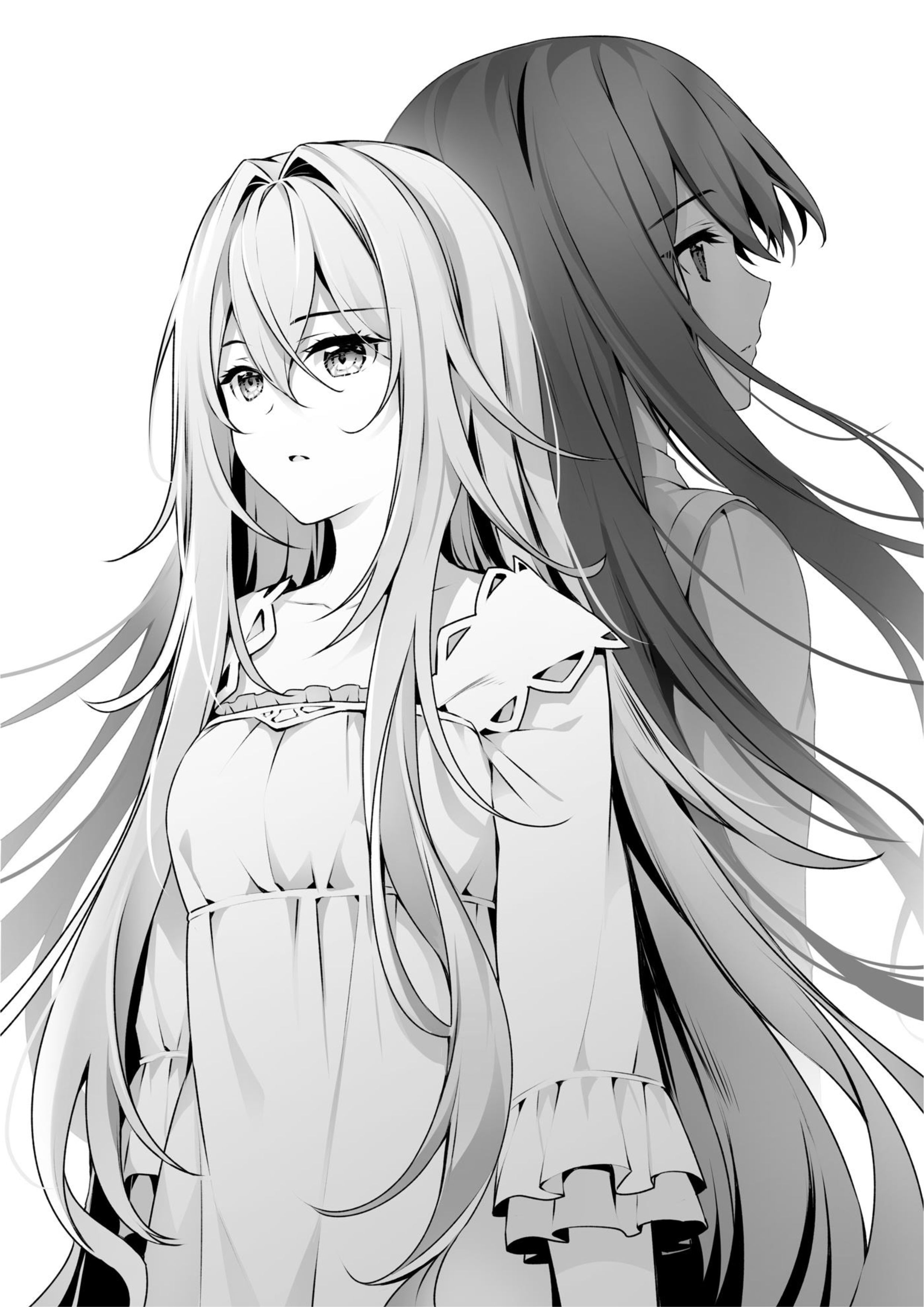 Seirei Gensouki V21 Illustration - Megumi Novel