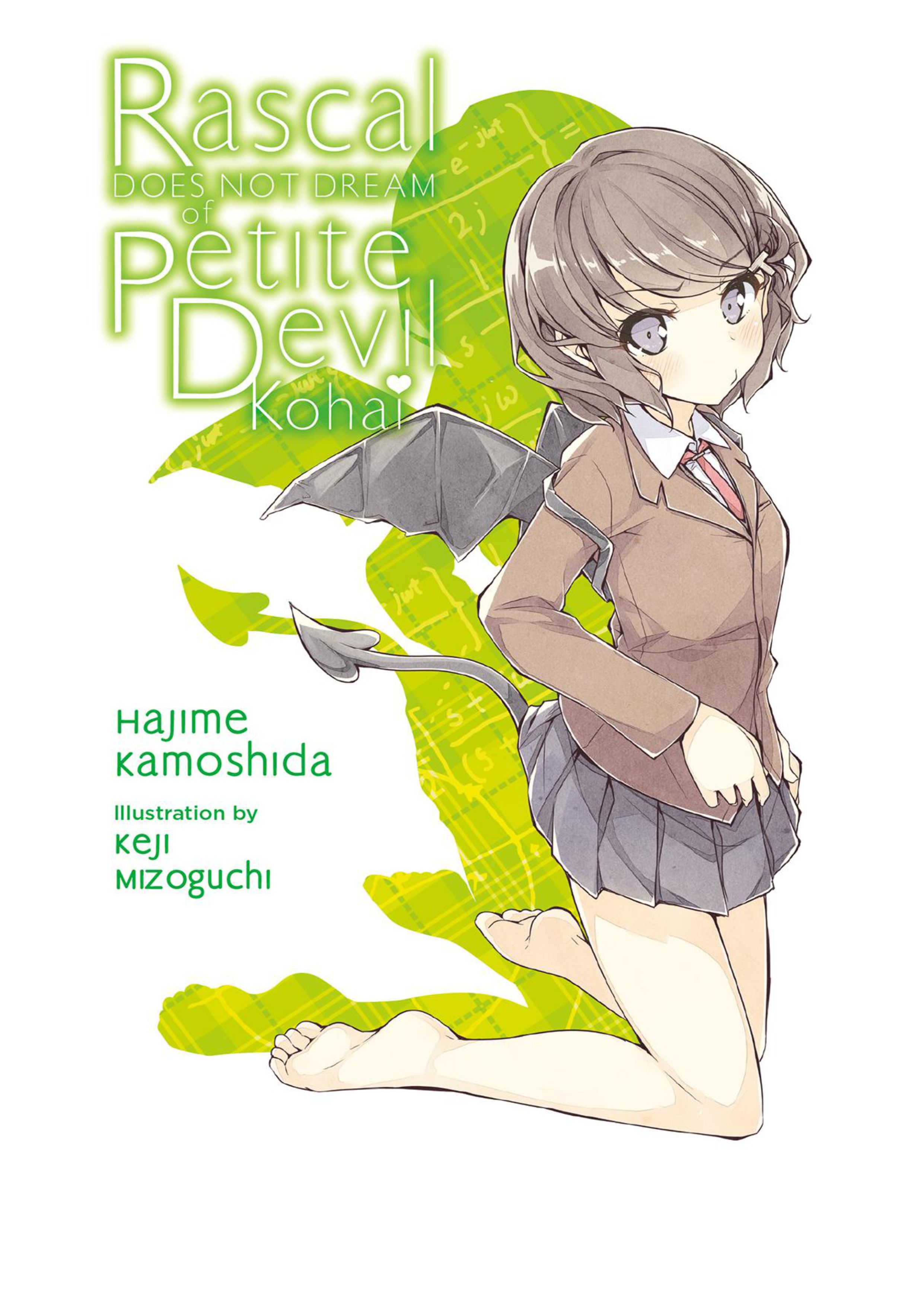 Seishun Buta Yarou Series V2 Illustration - Megumi Novel