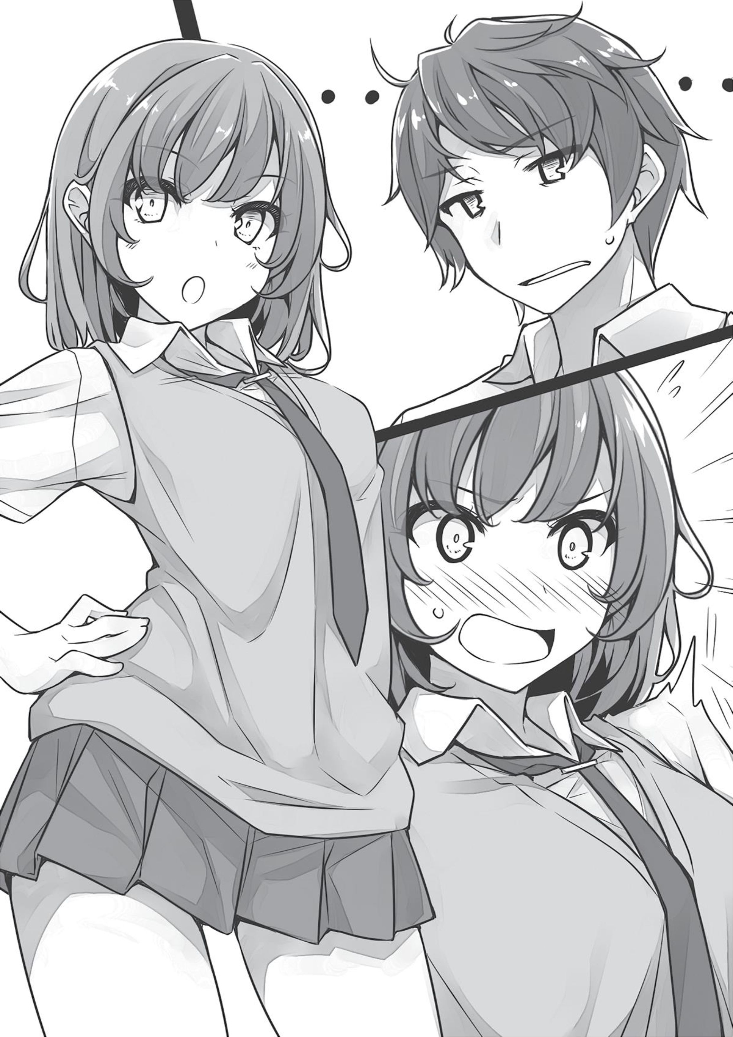 Seishun Buta Yarou Series V2 Illustration - Megumi Novel