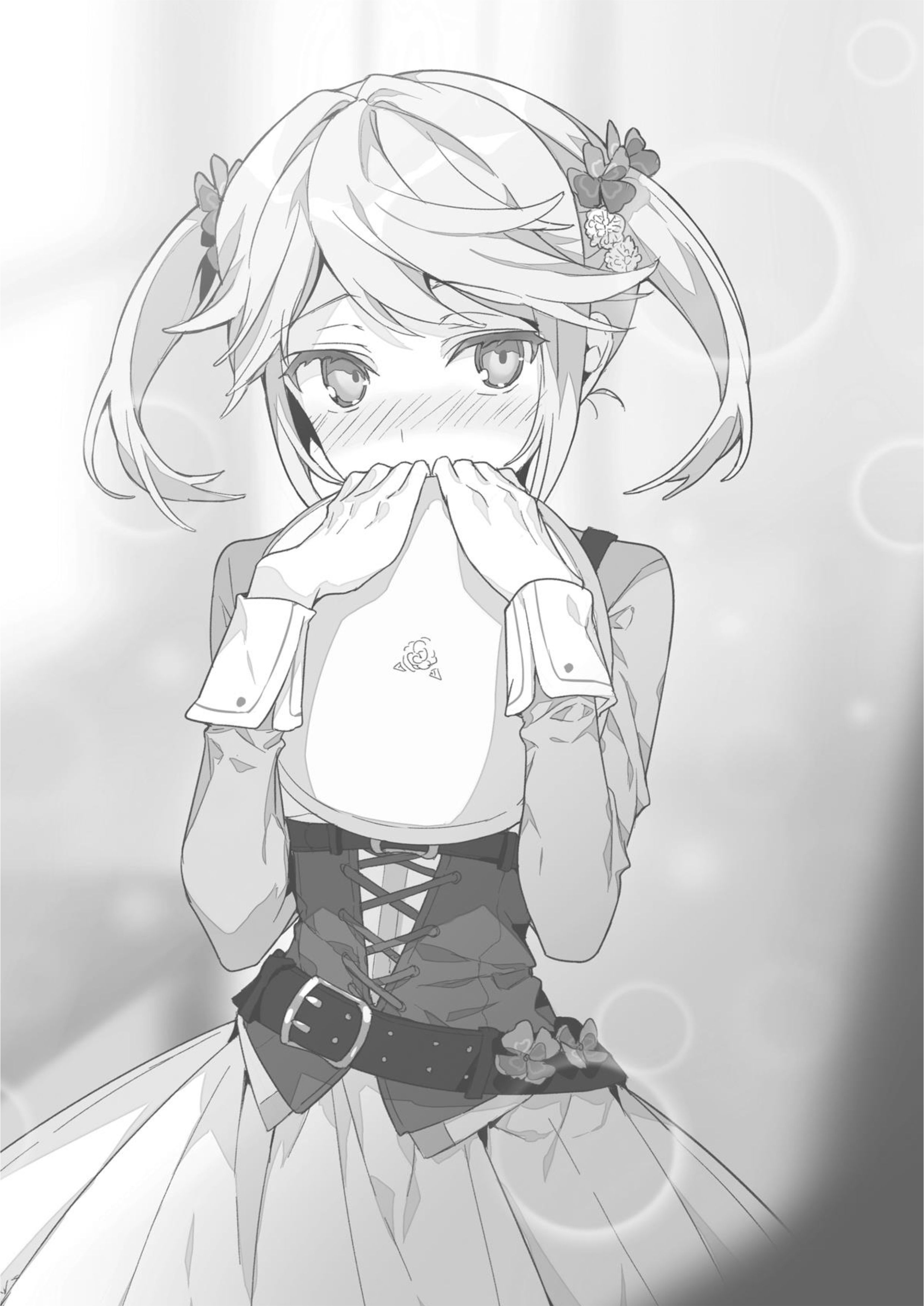 Sekai Saikou no Ansatsusha V1 Illustration - Megumi Novel