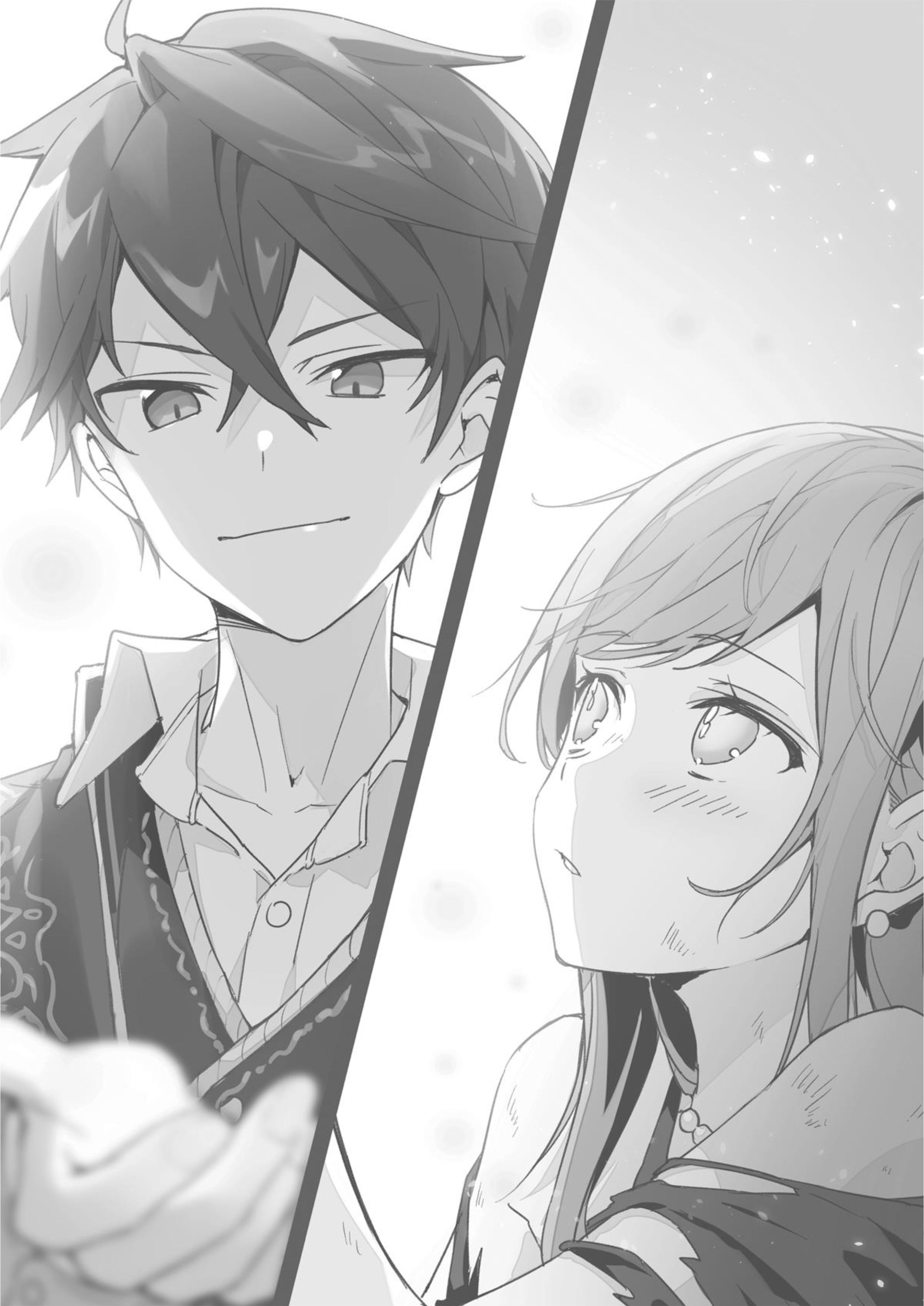 Sekai Saikou no Ansatsusha V1 Illustration - Megumi Novel