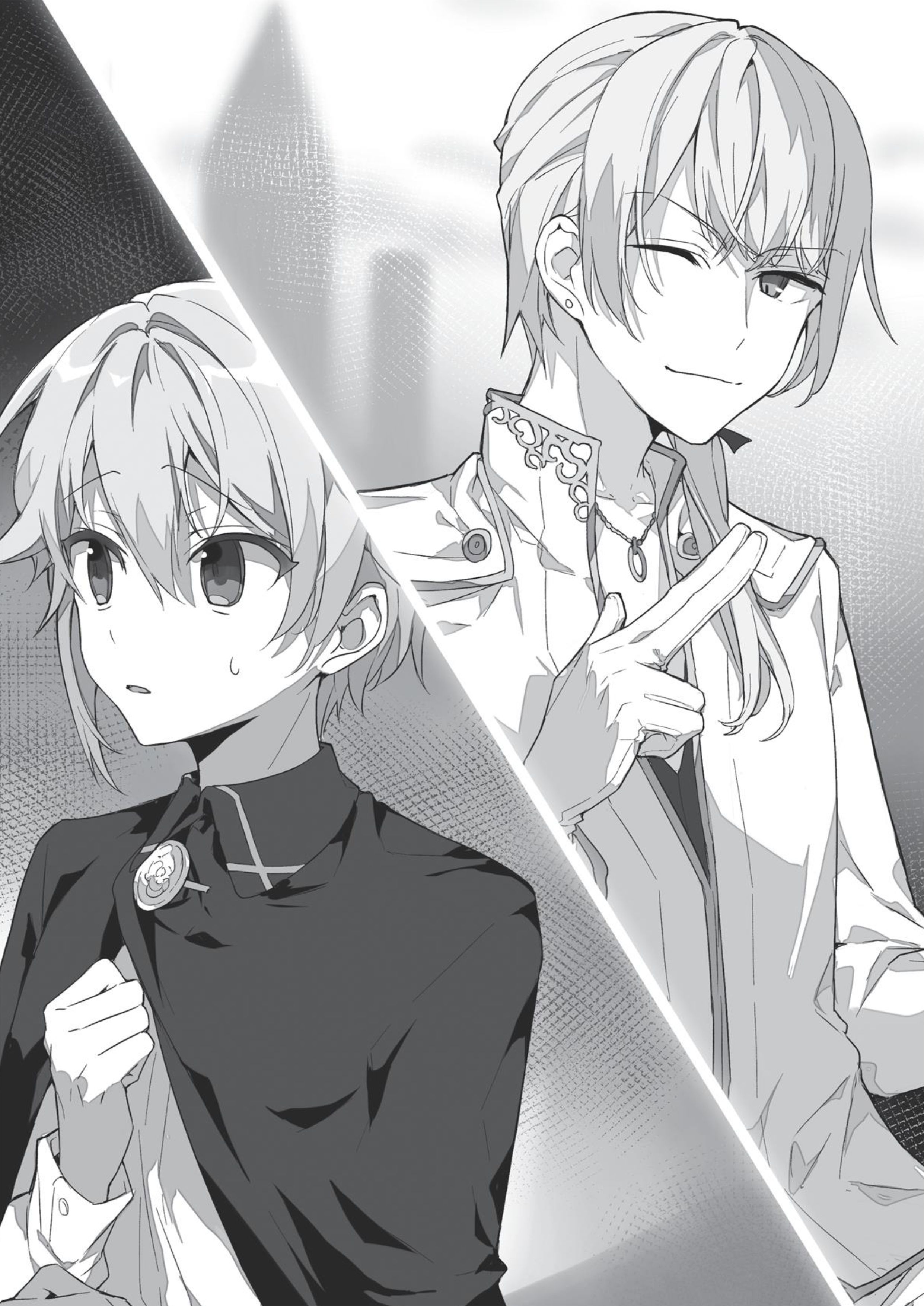 Sekai Saikou no Ansatsusha V2 Illustration - Megumi Novel