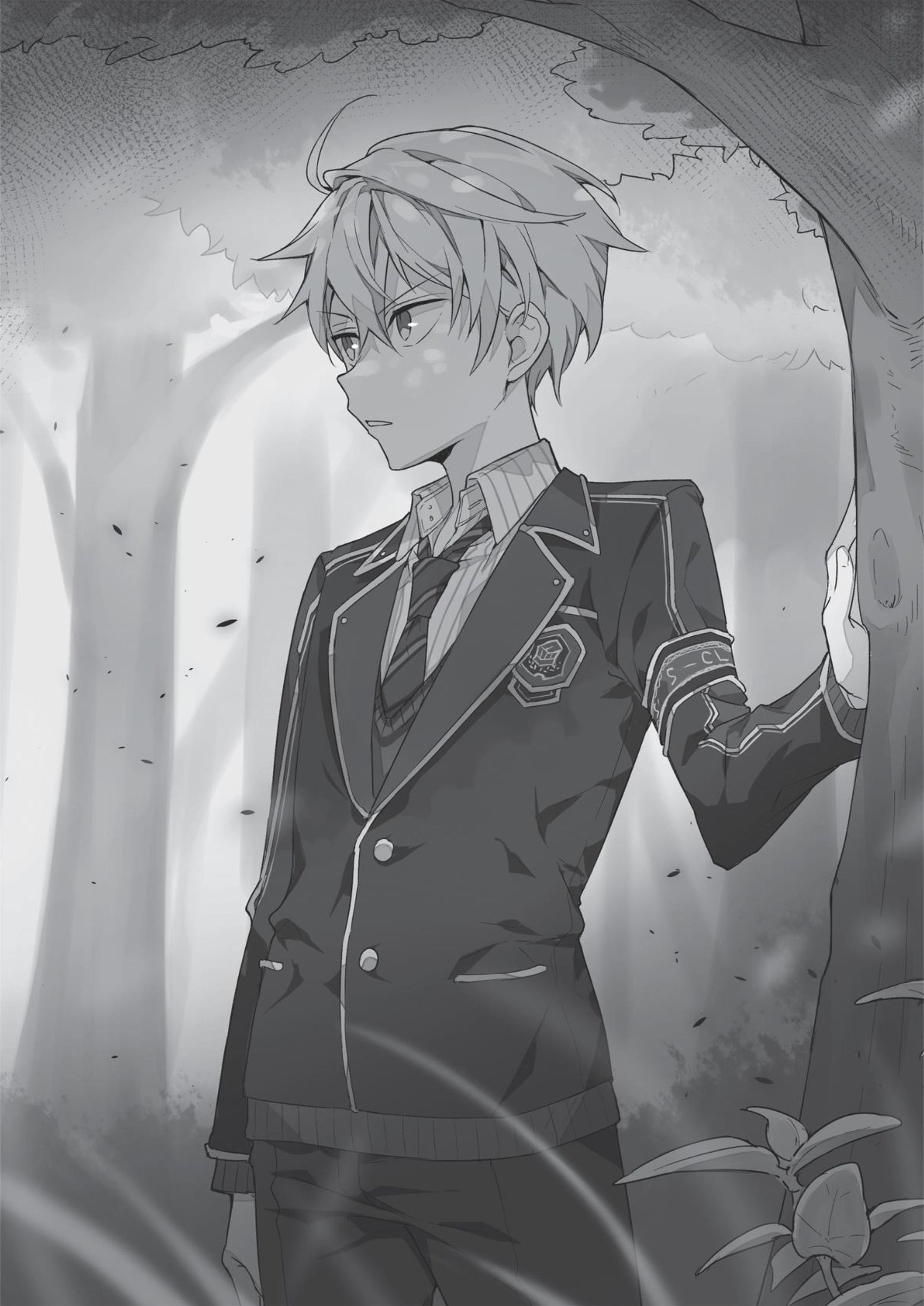 Sekai Saikou no Ansatsusha V2 Illustration - Megumi Novel