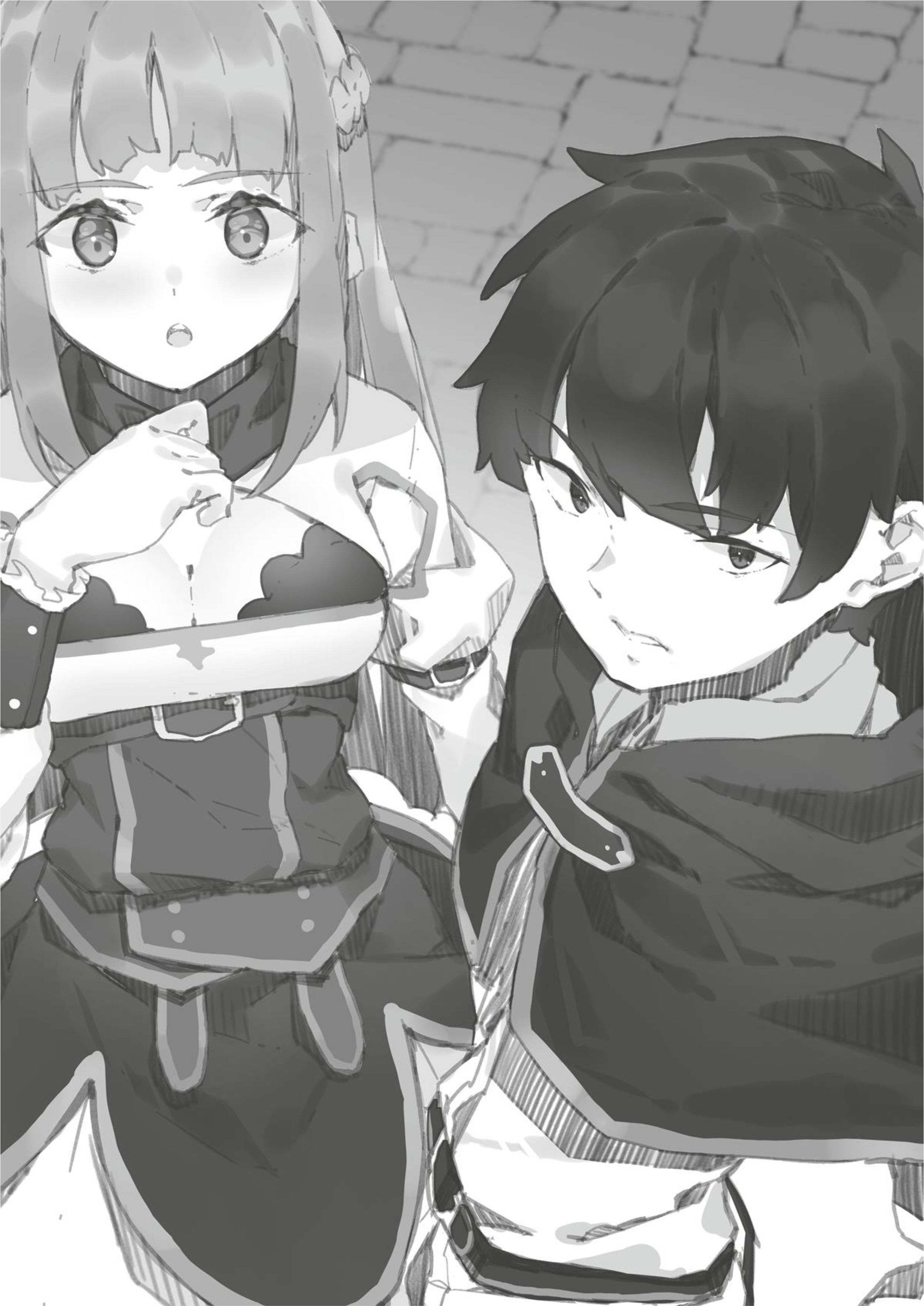 Shin no Nakama janai to Yuusha no Party wo Oidasareta node V6 Illustration - Megumi Novel