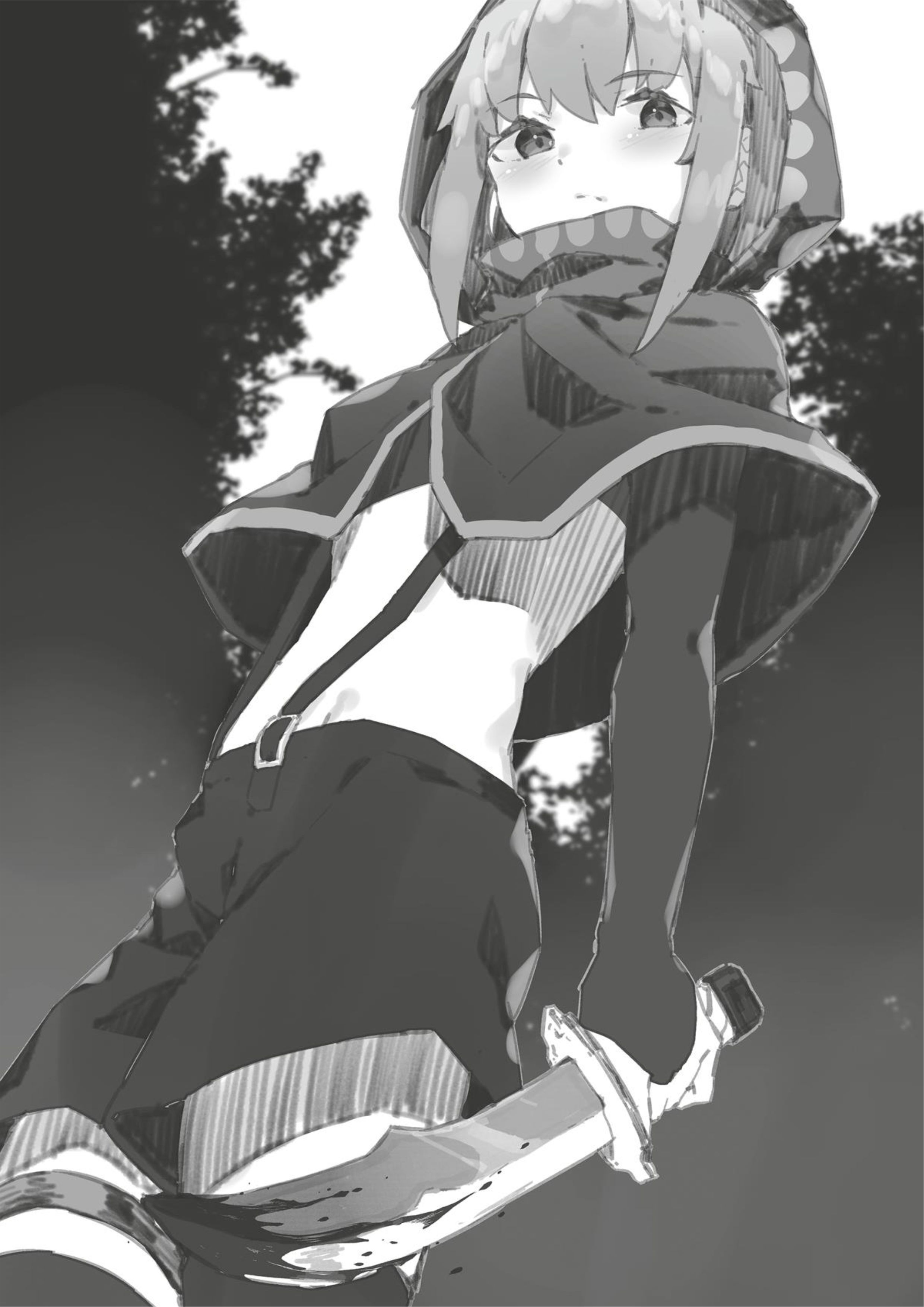 Shin no Nakama janai to Yuusha no Party wo Oidasareta node V6 Illustration - Megumi Novel