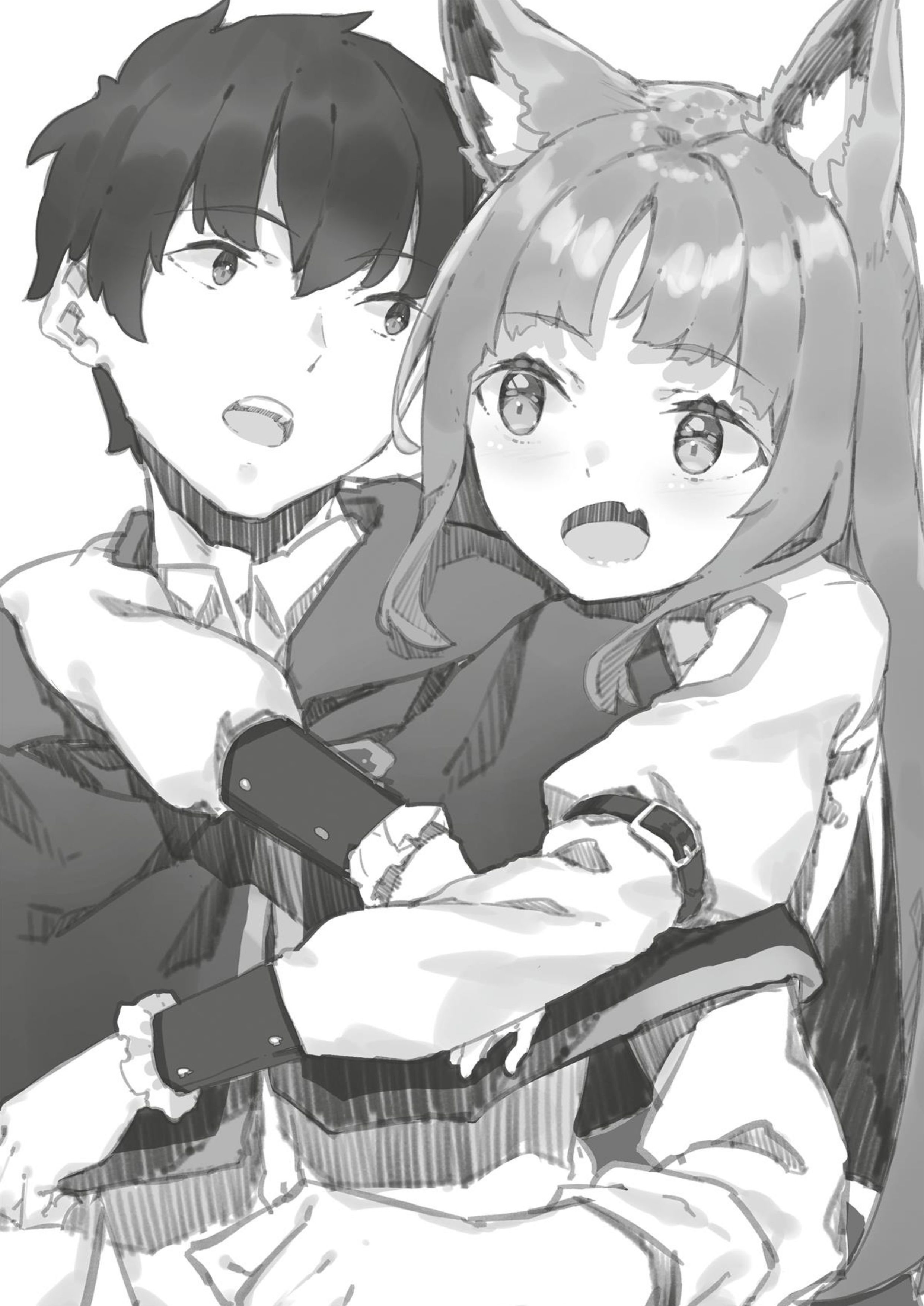 Shin no Nakama janai to Yuusha no Party wo Oidasareta node V6 Illustration - Megumi Novel