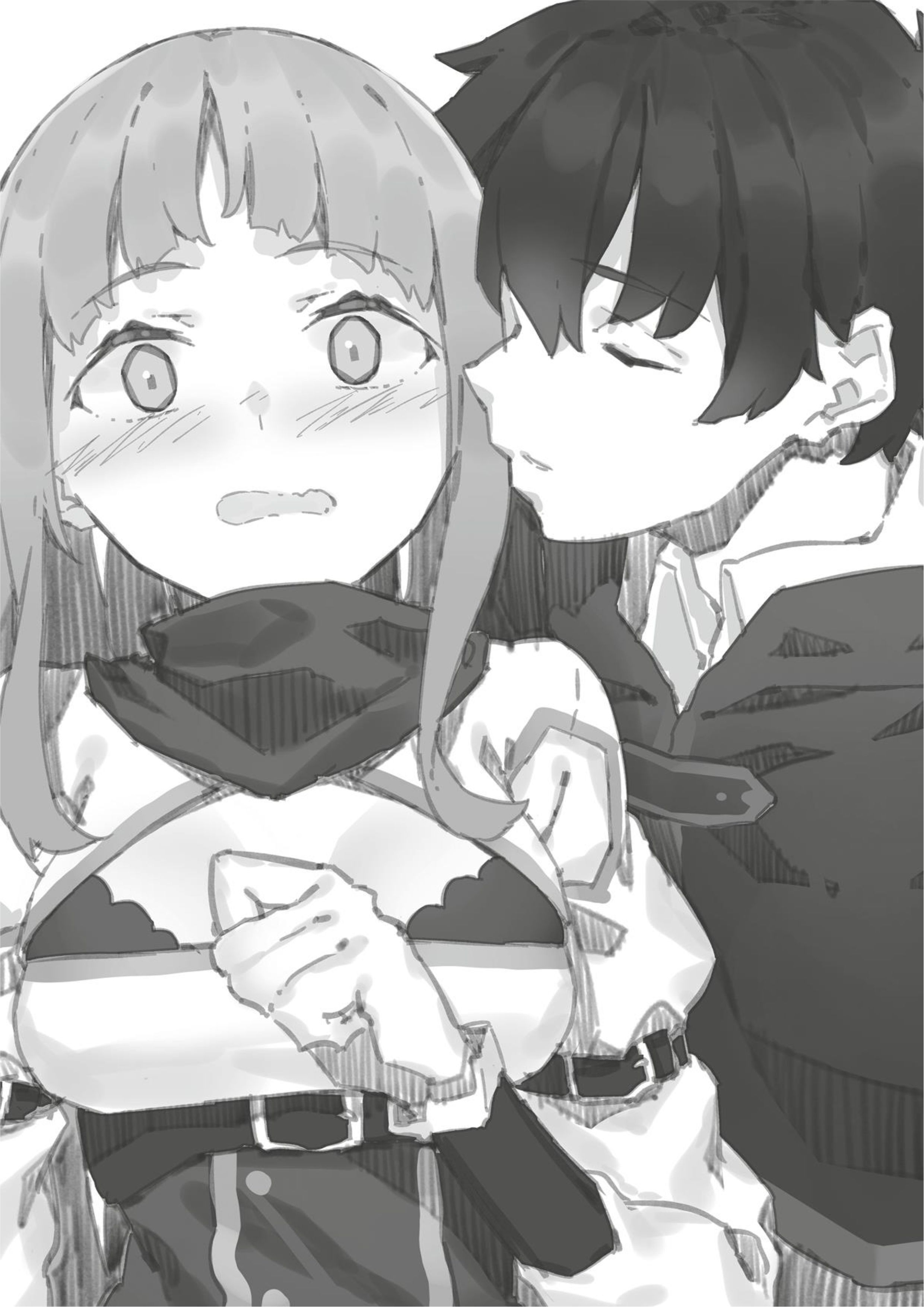 Shin no Nakama janai to Yuusha no Party wo Oidasareta node V6 Illustration - Megumi Novel
