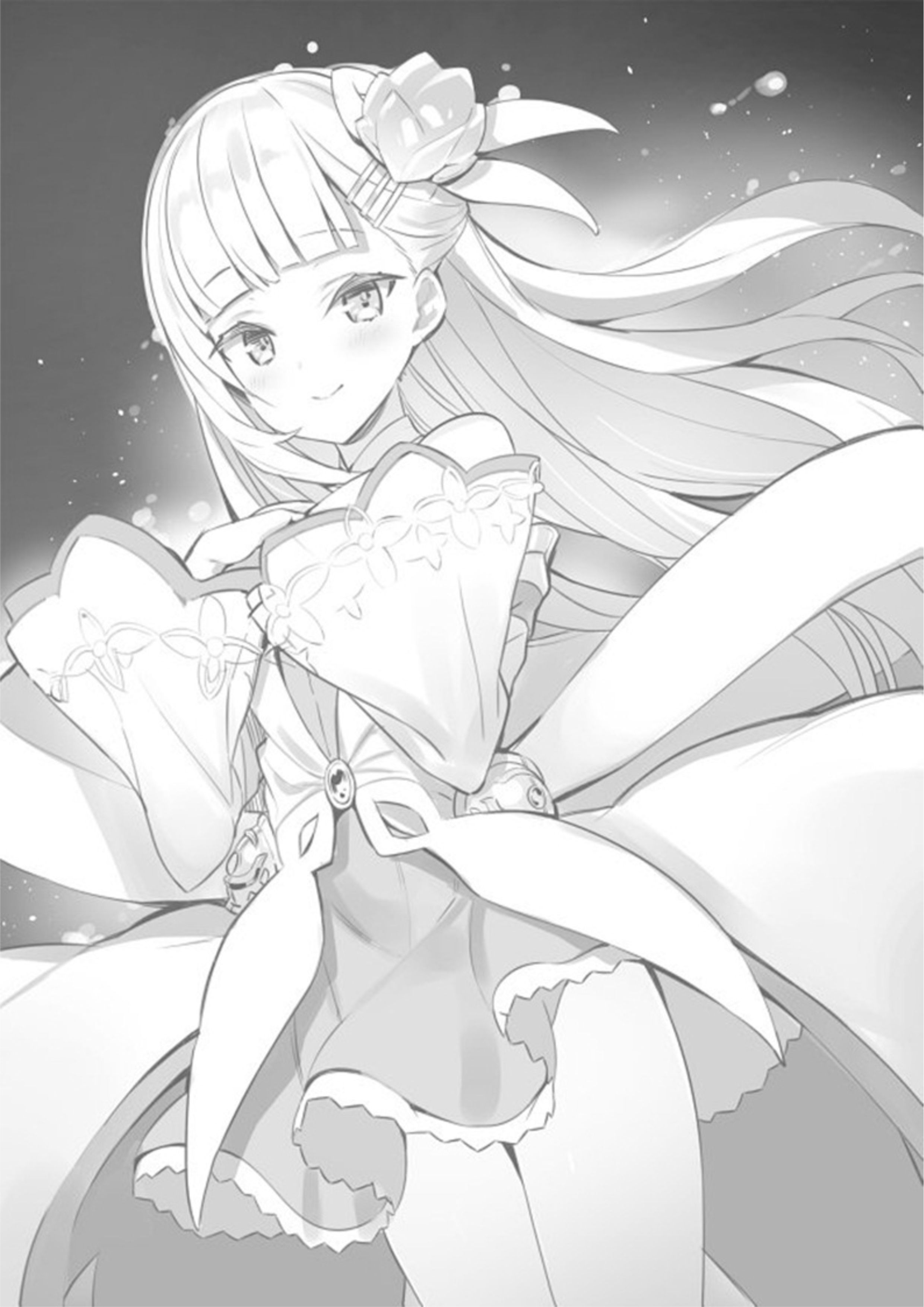 Shinja Zero no Megami-sama V1 Illustration - Megumi Novel