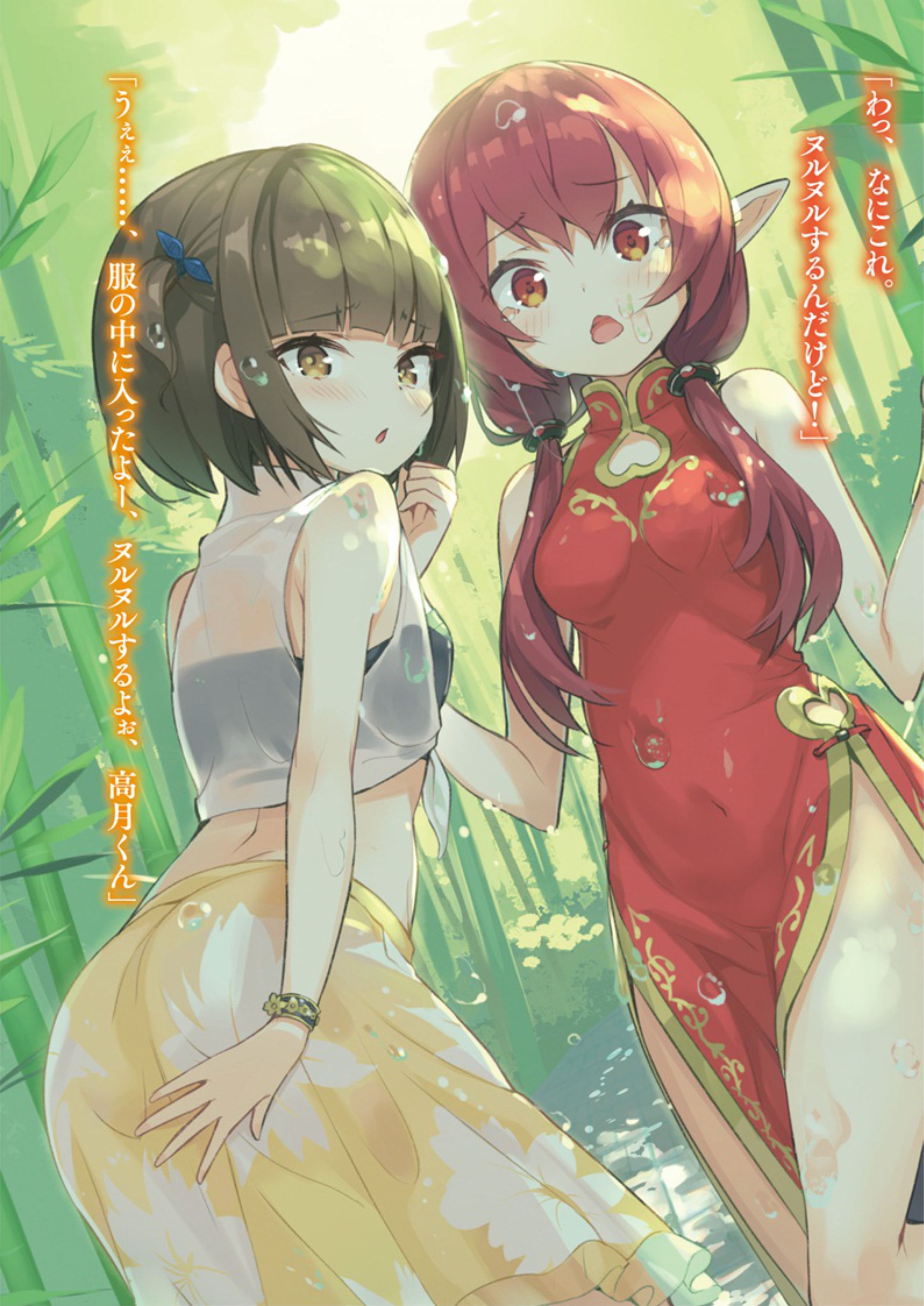 Shinja Zero no Megami-sama V2 Illustration - Megumi Novel