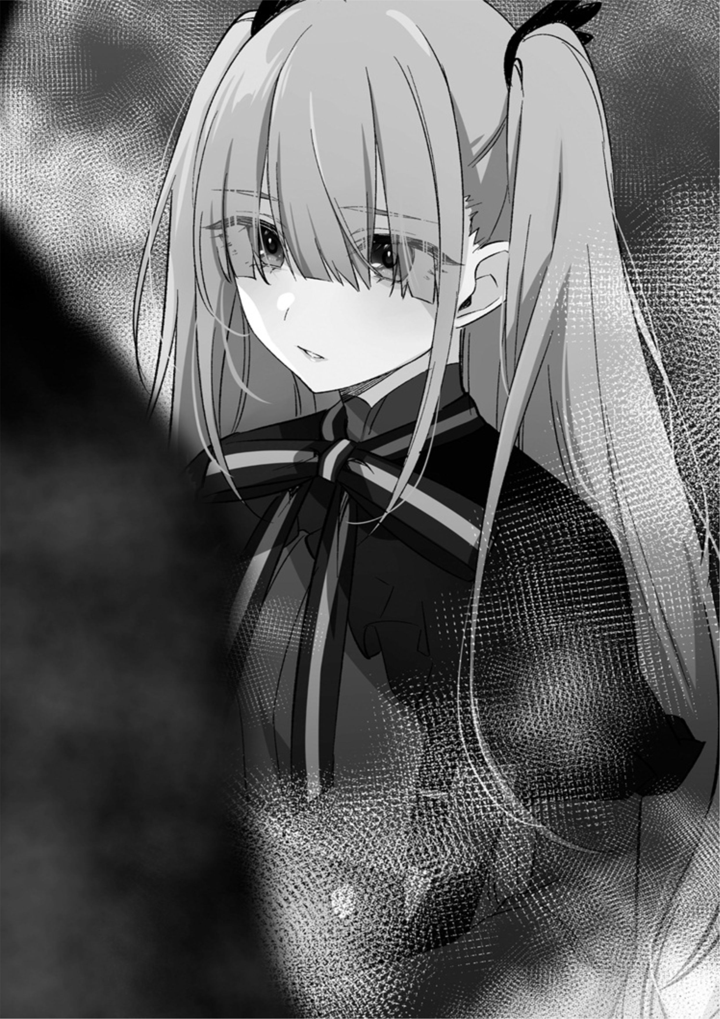 Spy Classroom V1 Illustration - Megumi Novel