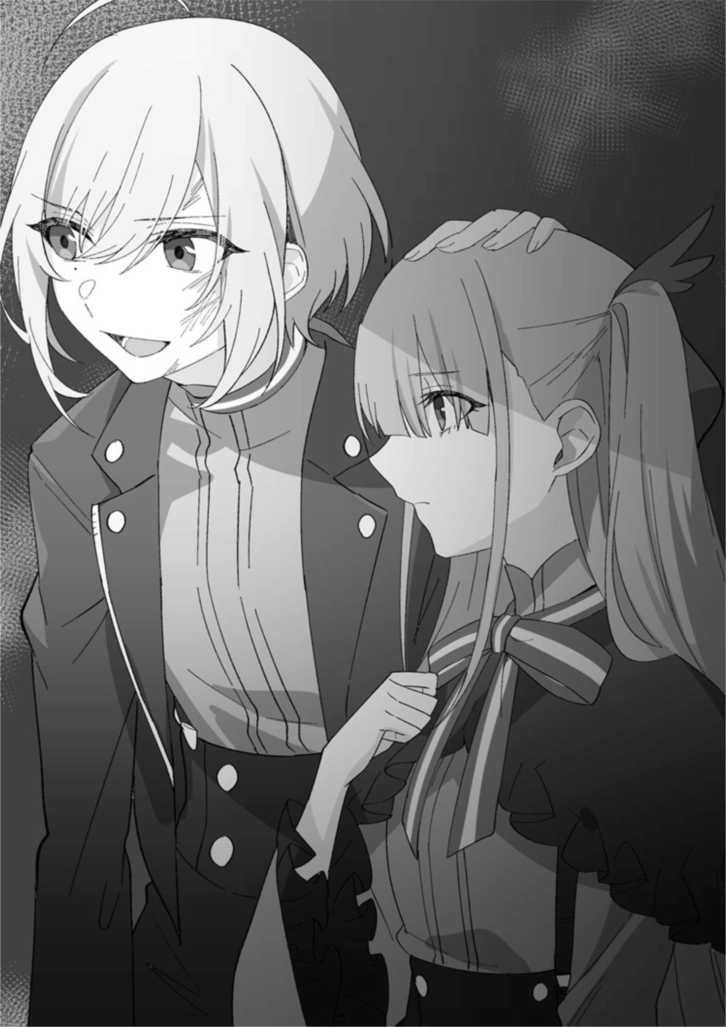 Spy Classroom V4 Illustration - Megumi Novel