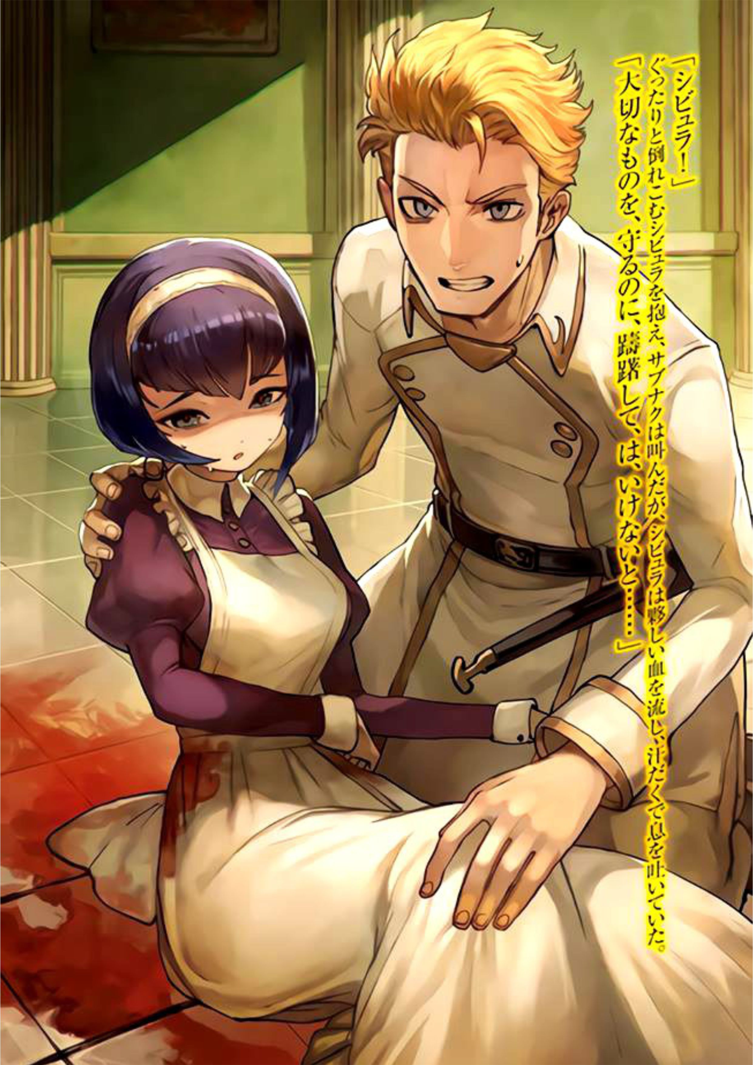 Summoned Slaughterer V4 Illustration - Megumi Novel