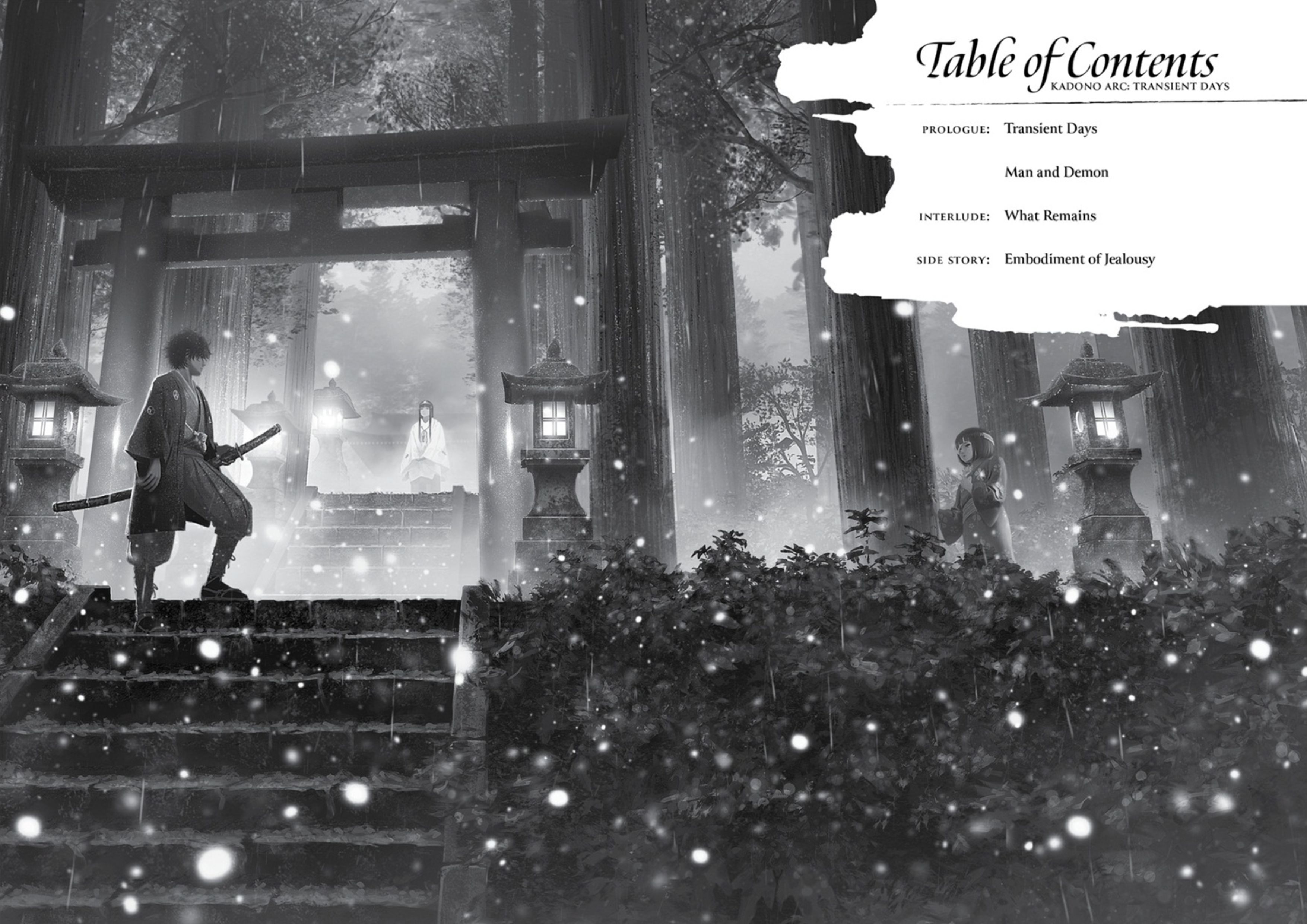 Sword of the Demon Hunter V1 Illustration - Megumi Novel