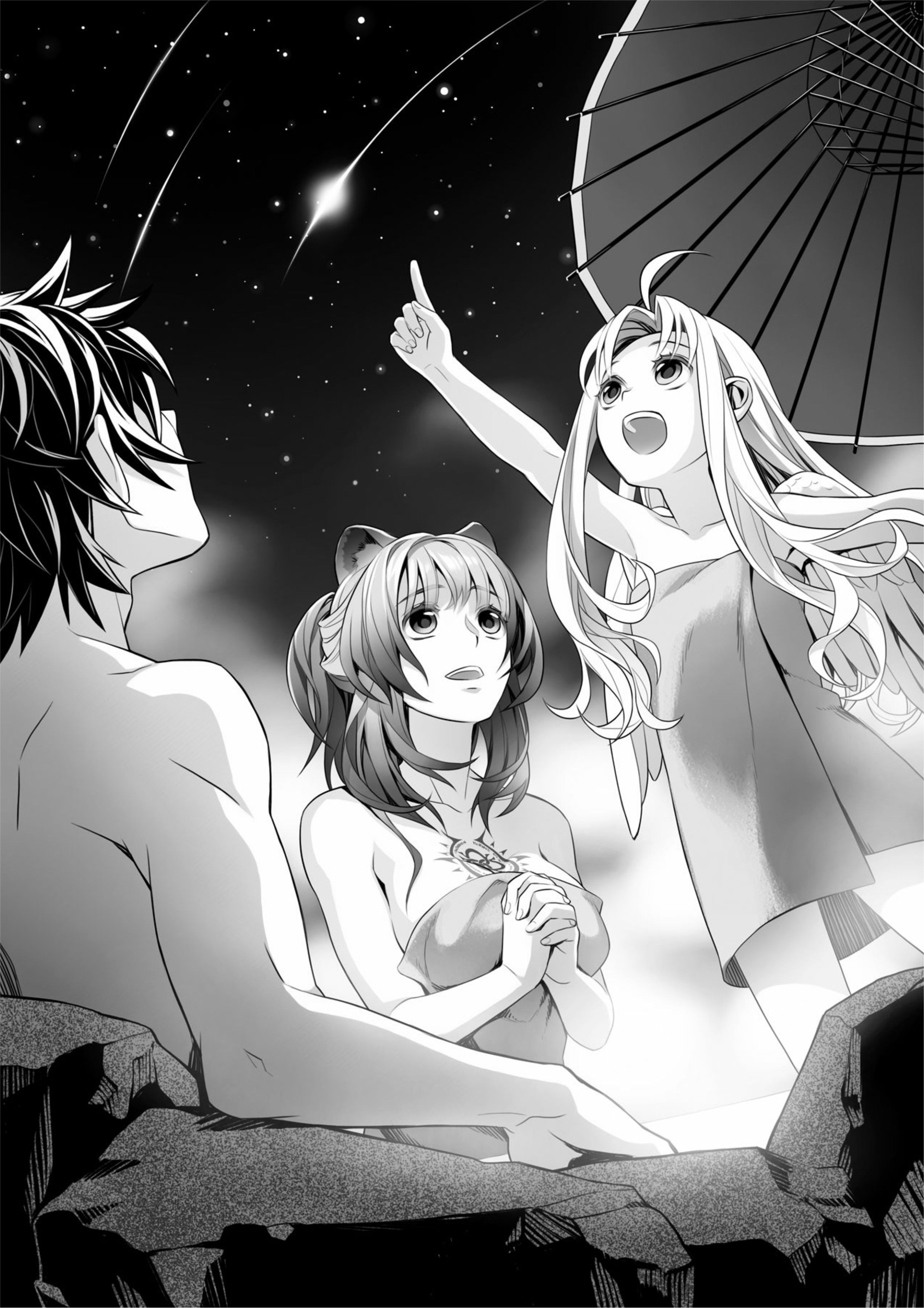 Tate no Yuusha no Nariagari V5 Illustration - Megumi Novel