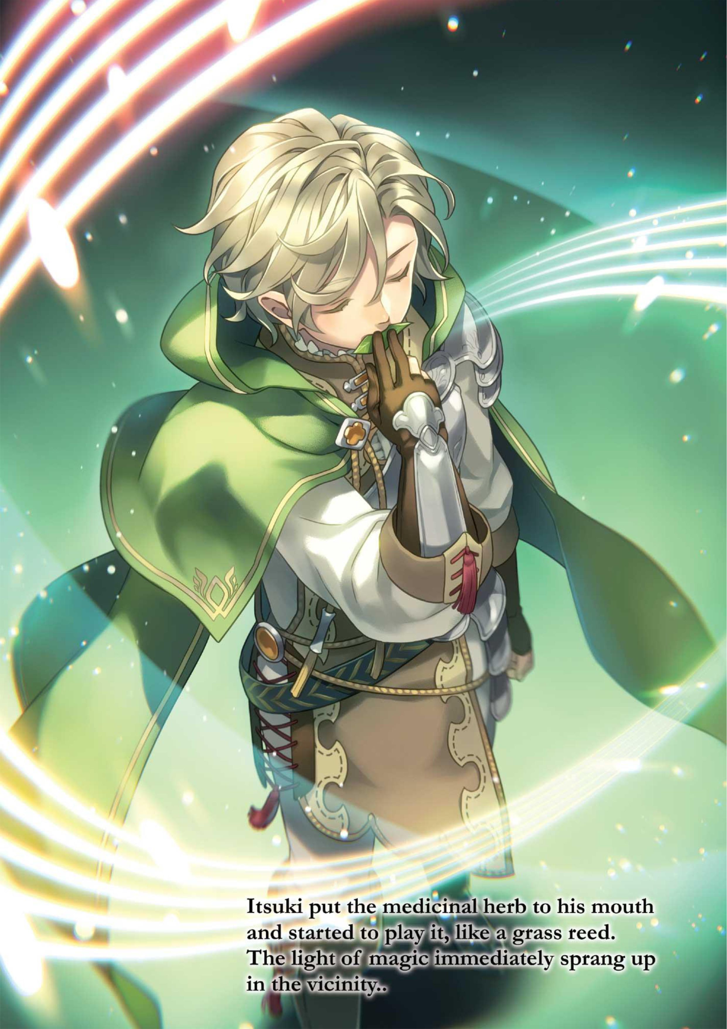 Tate no Yuusha no Nariagari V17 Illustration - Megumi Novel