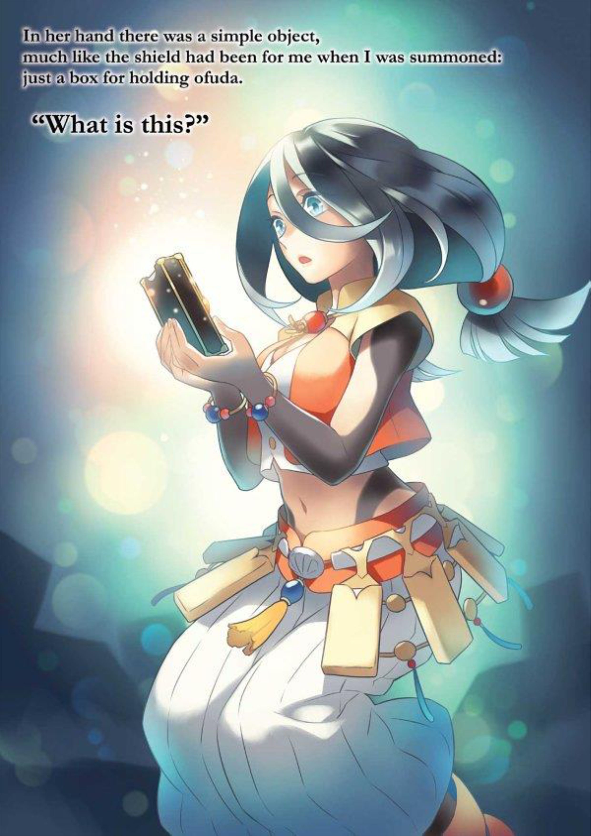 Tate no Yuusha no Nariagari V19 Illustration - Megumi Novel