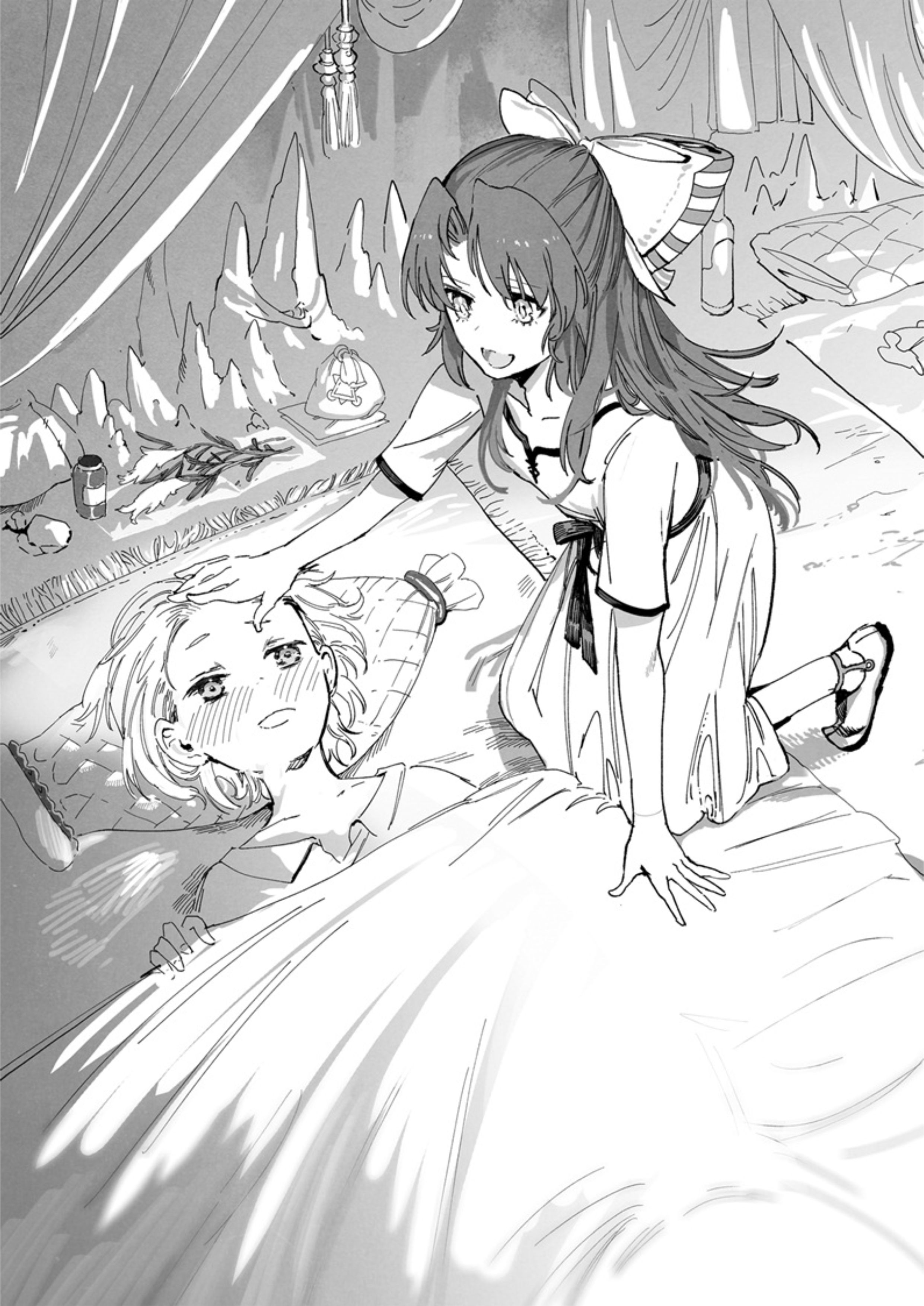 Tensei Shita Daiseijo wa V4 Illustration - Megumi Novel