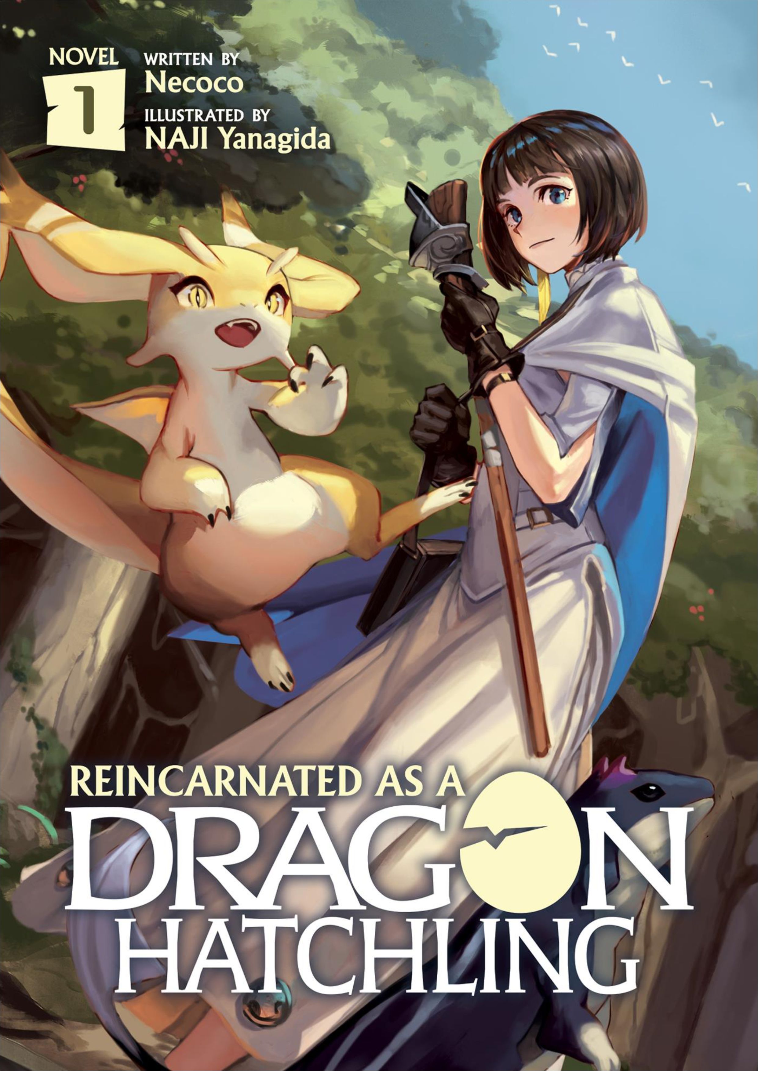 Tensei Shitara Dragon no Tamago Datta V1 Illustration - Megumi Novel