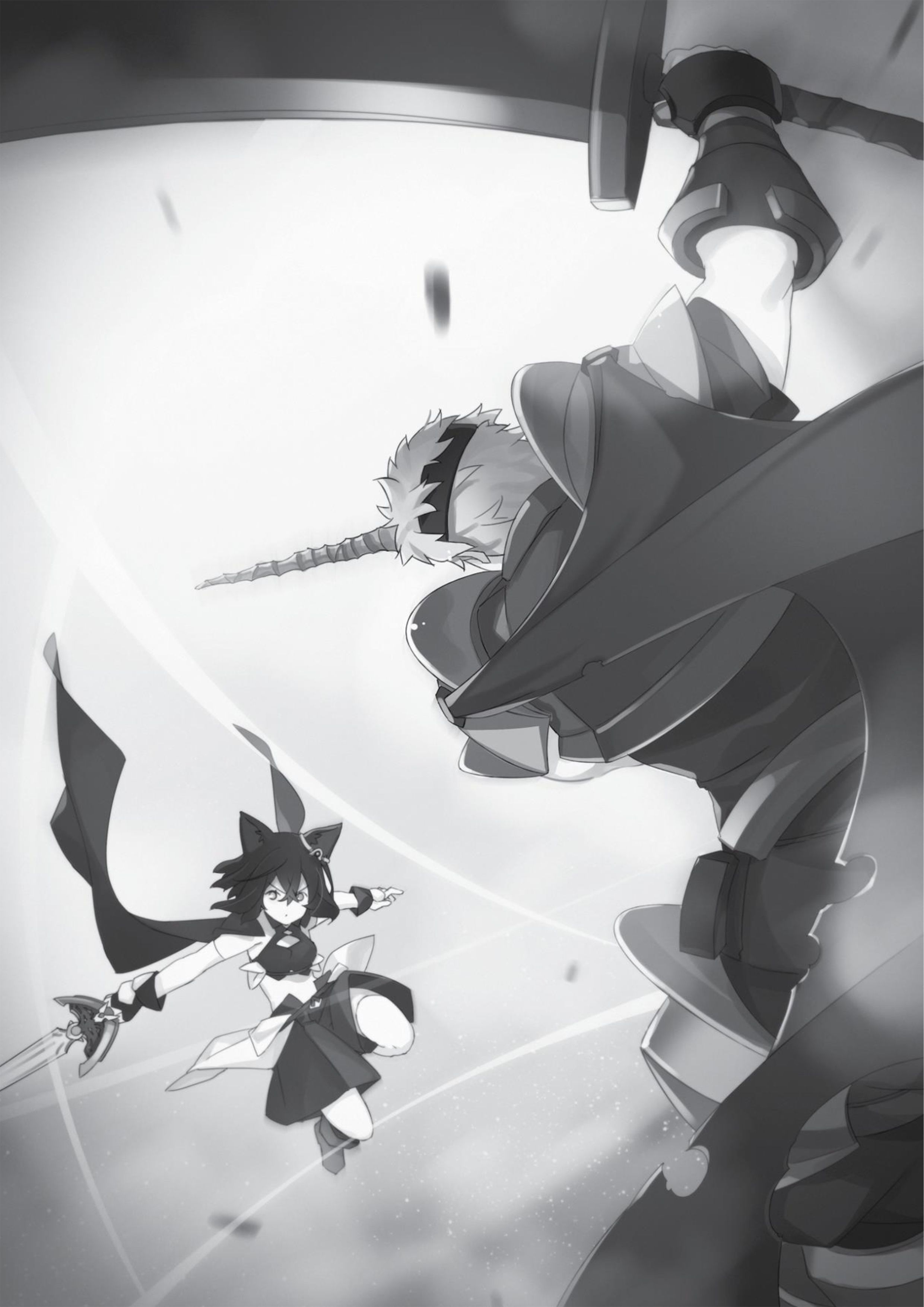 Tensei Shitara Ken Deshita V10 Illustration - Megumi Novel