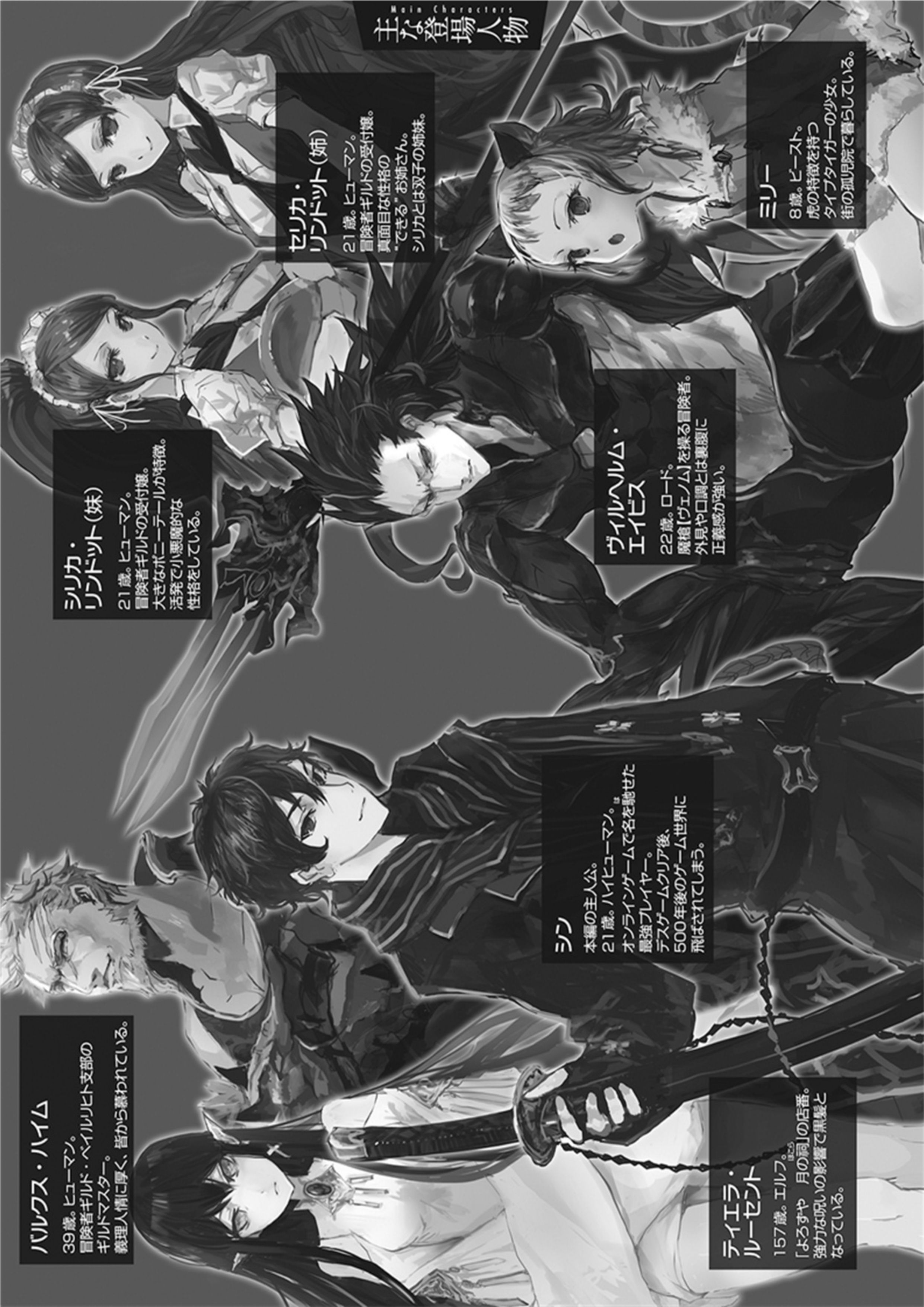 The New Gate V1 Illustration - Megumi Novel