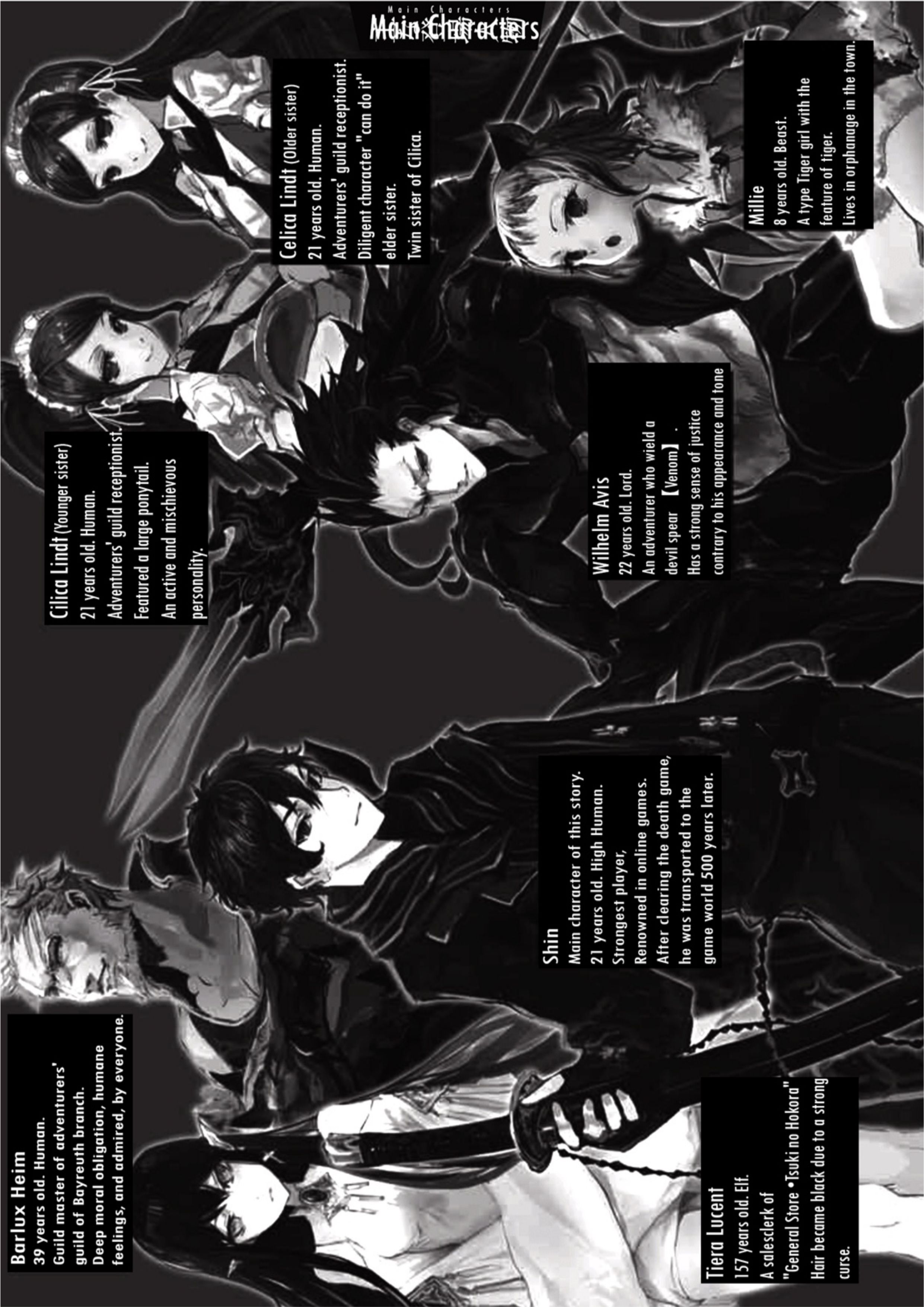 The New Gate V1 Illustration - Megumi Novel