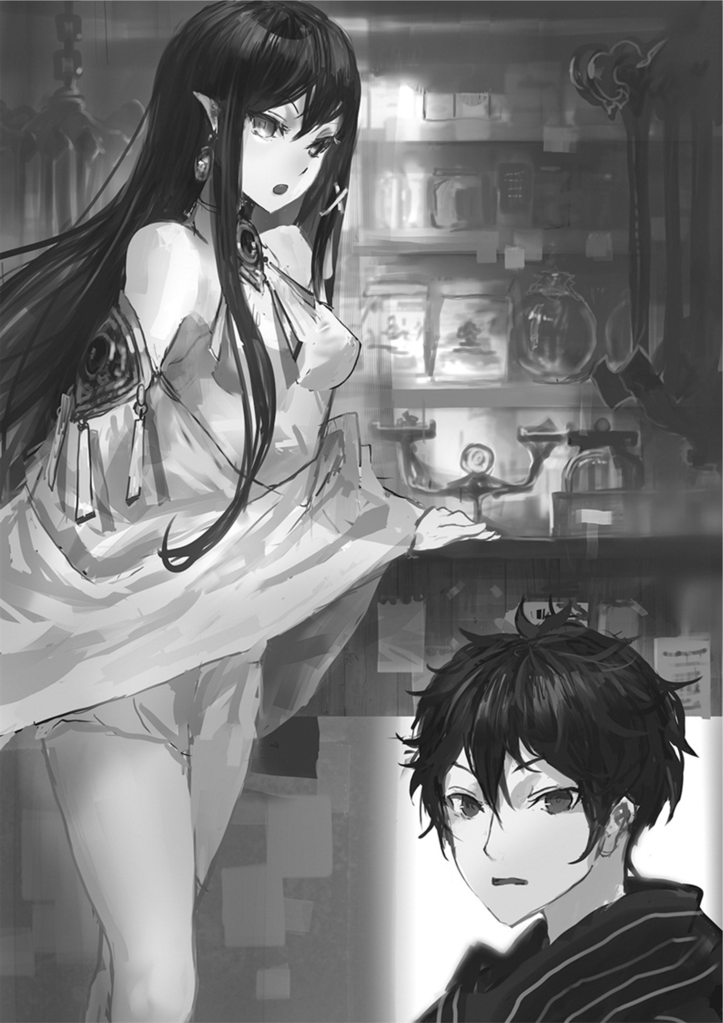 The New Gate V1 Illustration - Megumi Novel