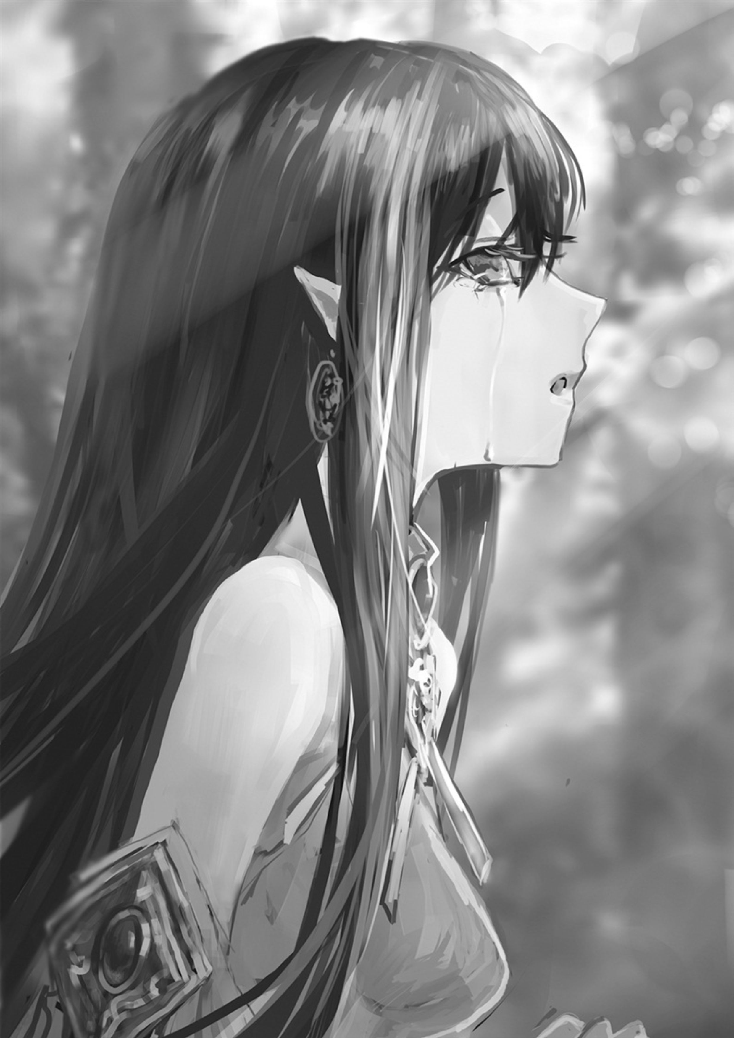 The New Gate V1 Illustration - Megumi Novel