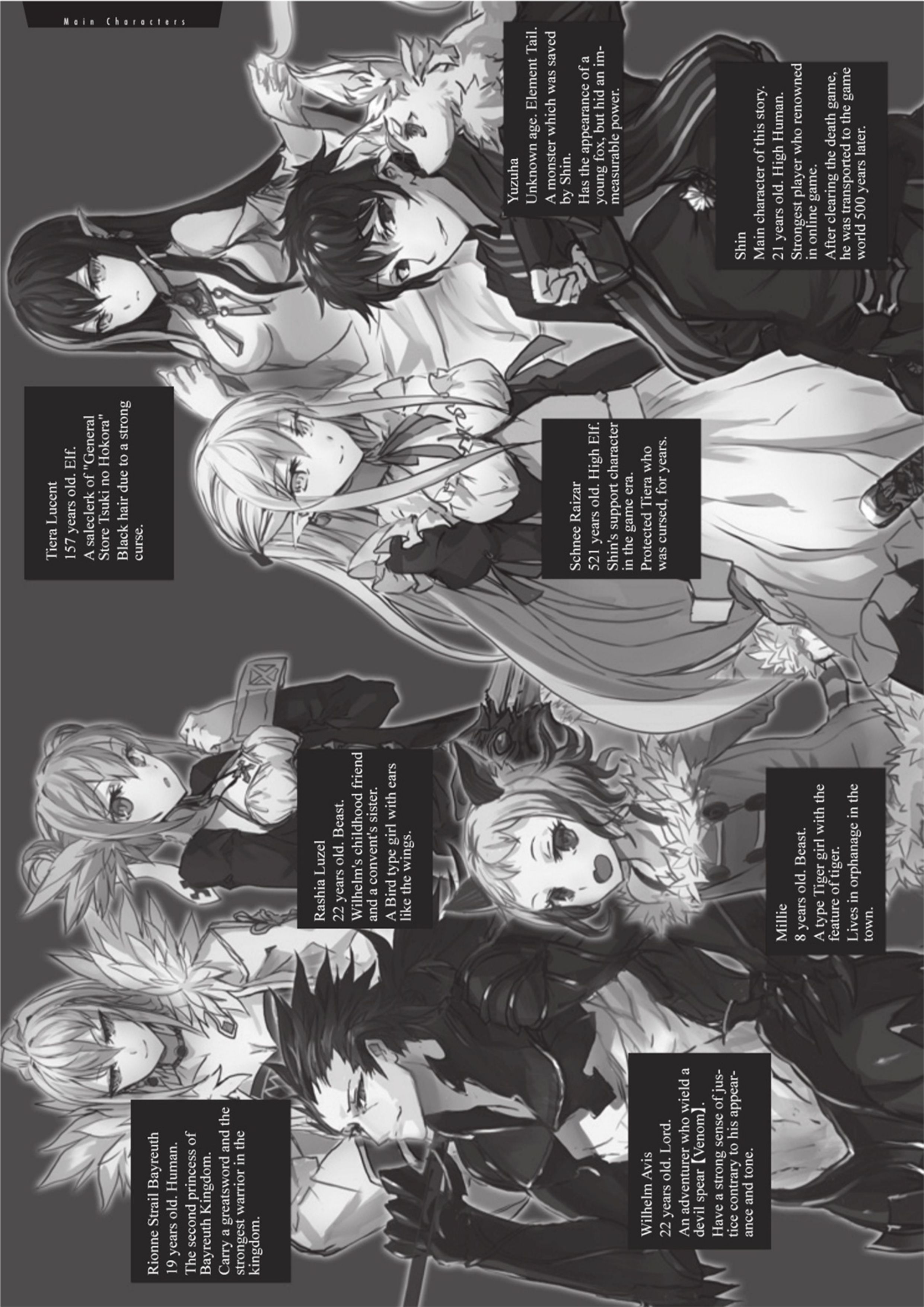 The New Gate V2 Illustration - Megumi Novel