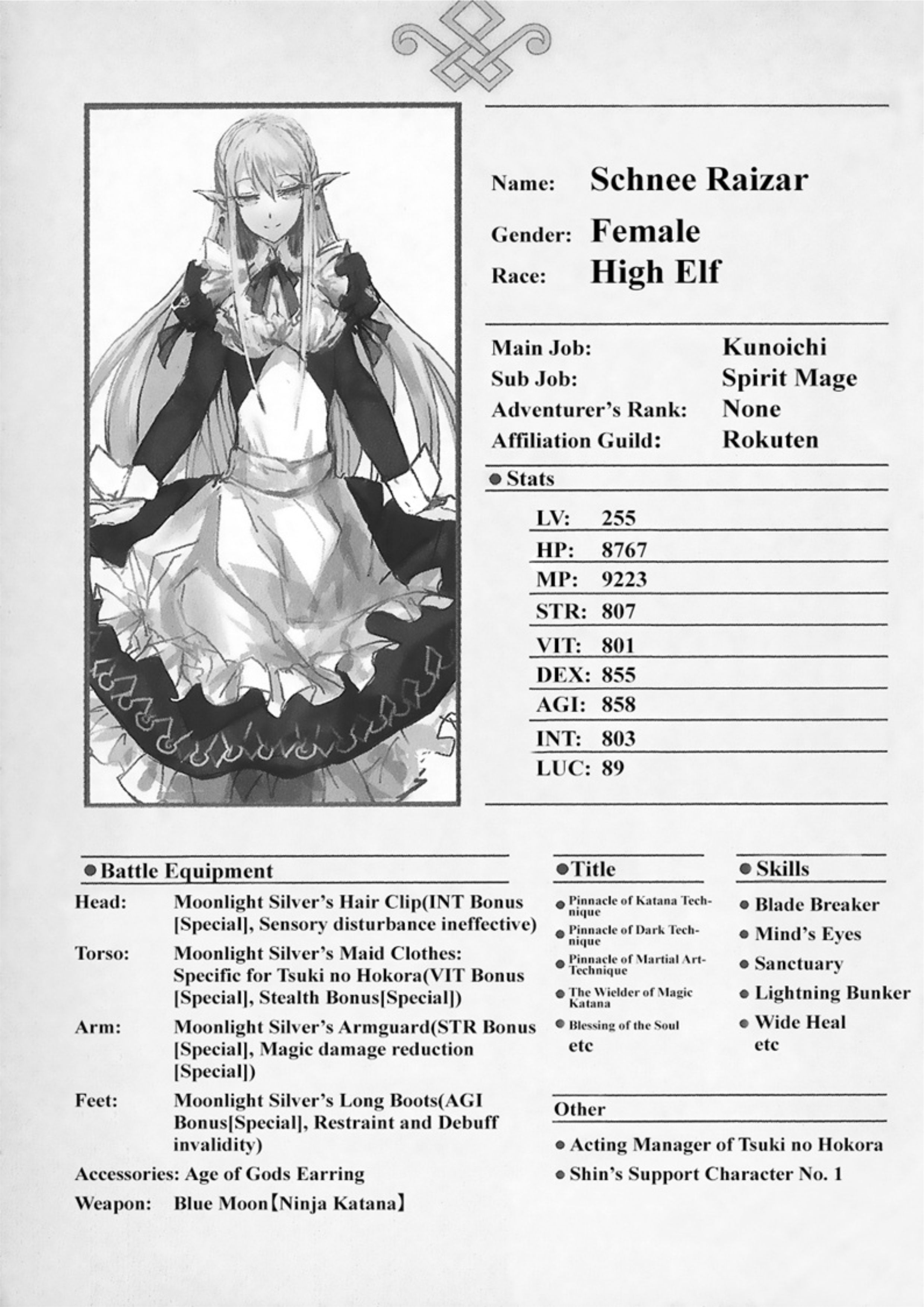 The New Gate V2 Illustration - Megumi Novel