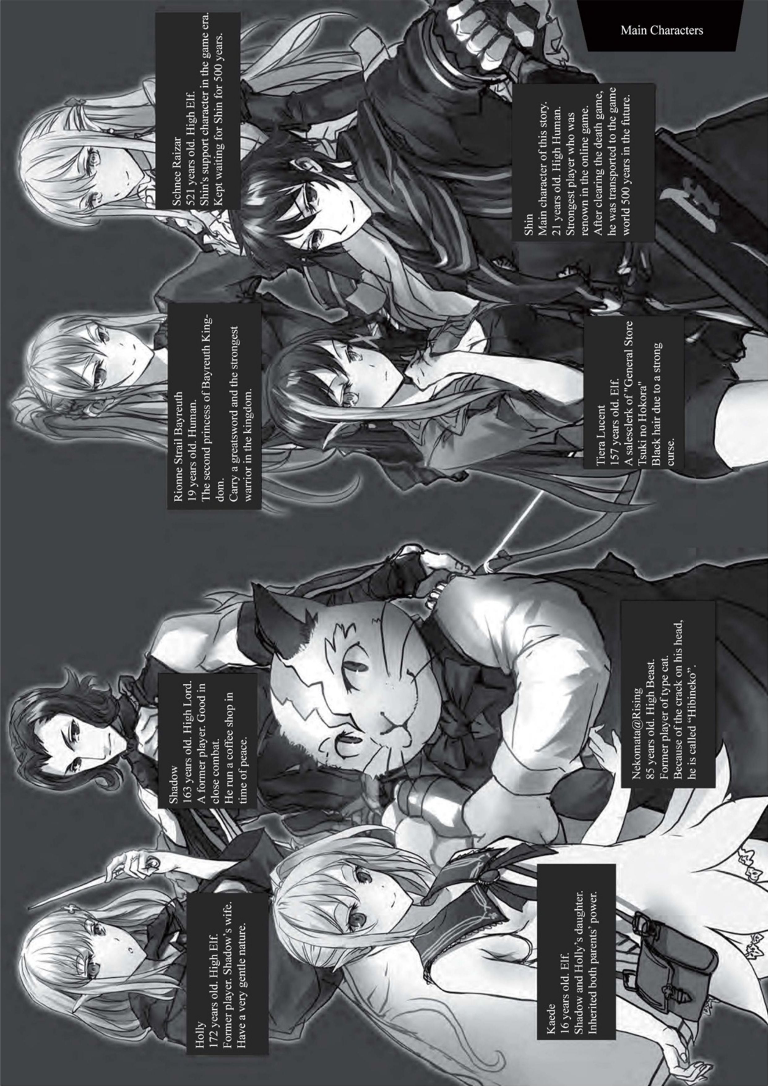 The New Gate V5 Illustration - Megumi Novel