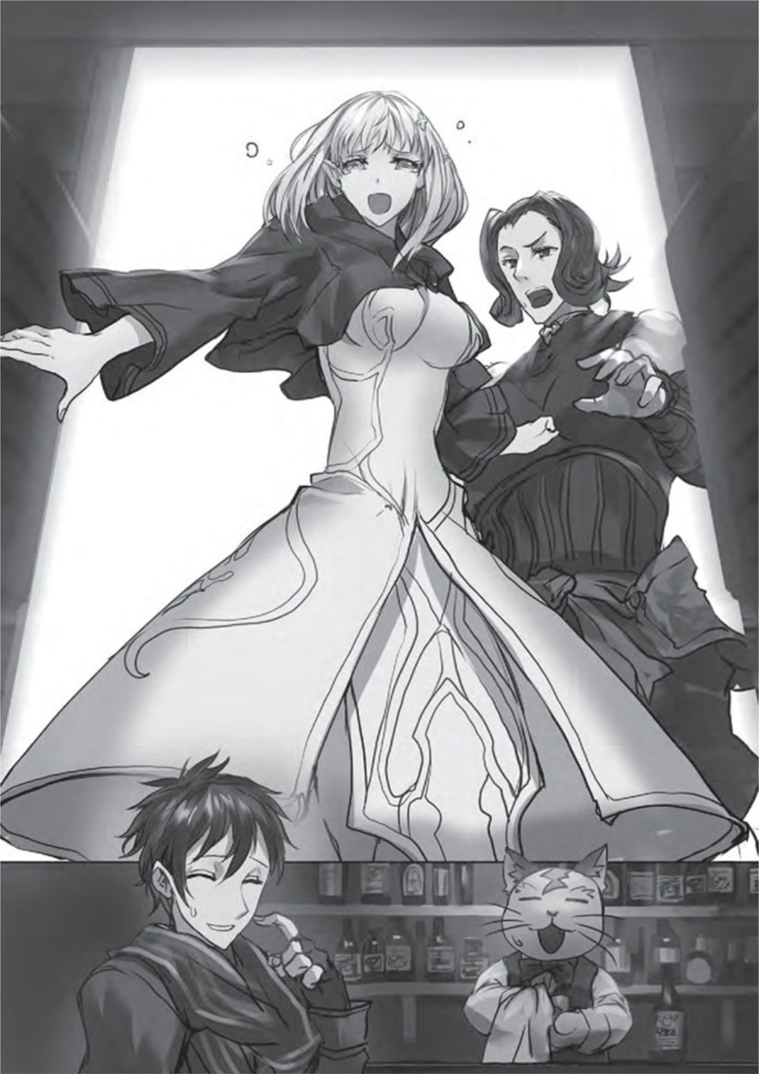 The New Gate V5 Illustration - Megumi Novel