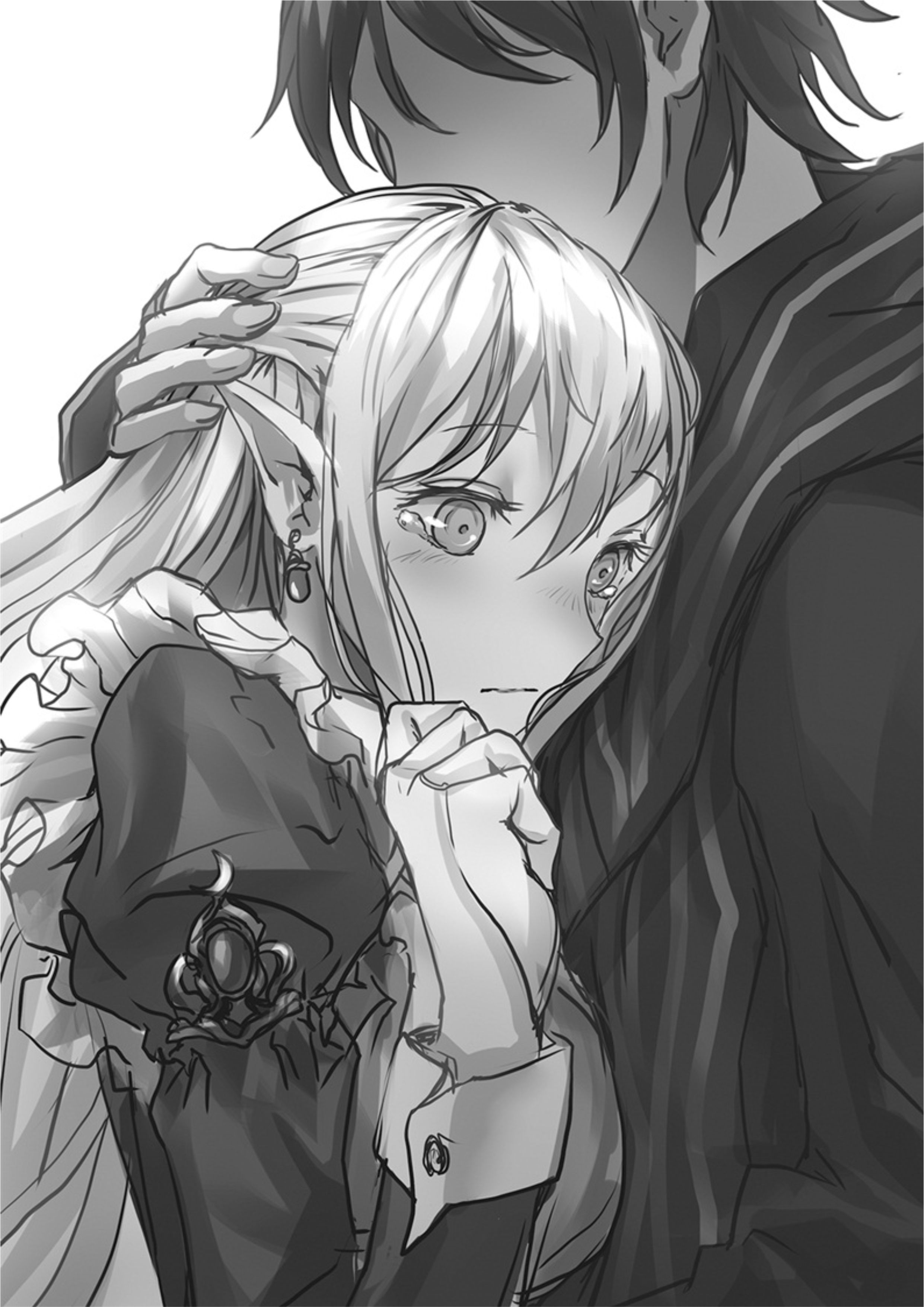 The New Gate V5 Illustration - Megumi Novel