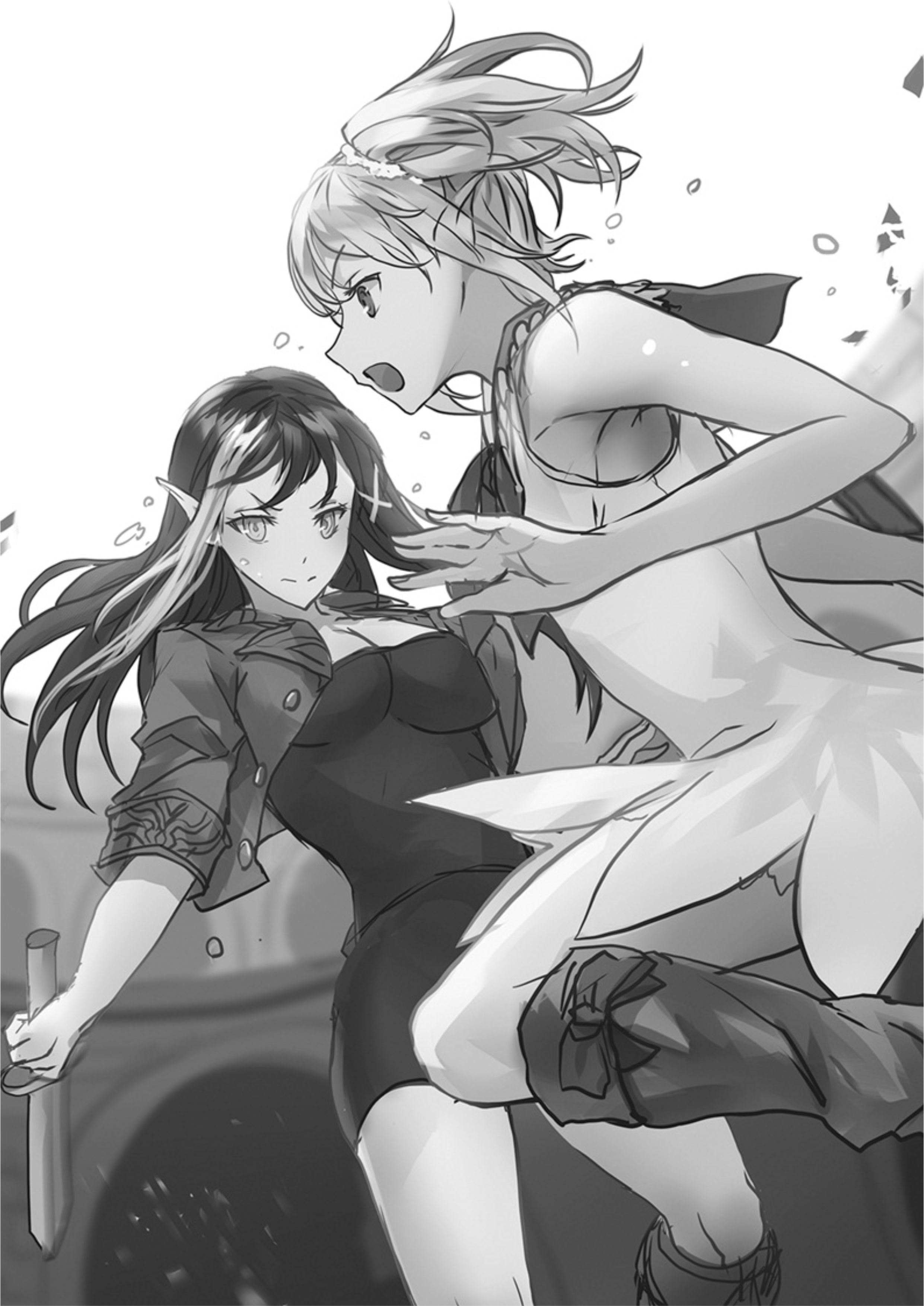 The New Gate V5 Illustration - Megumi Novel