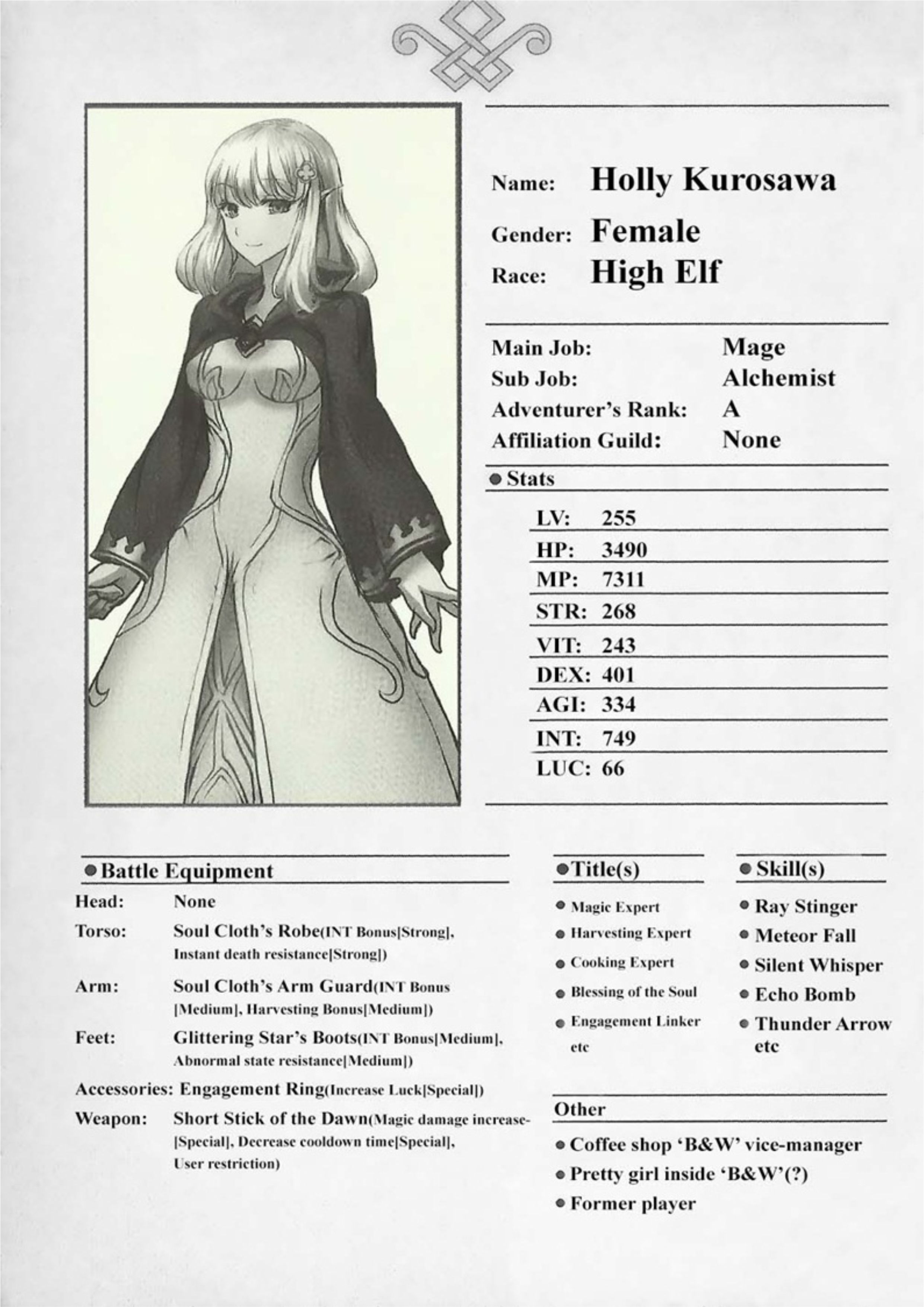 The New Gate V5 Illustration - Megumi Novel