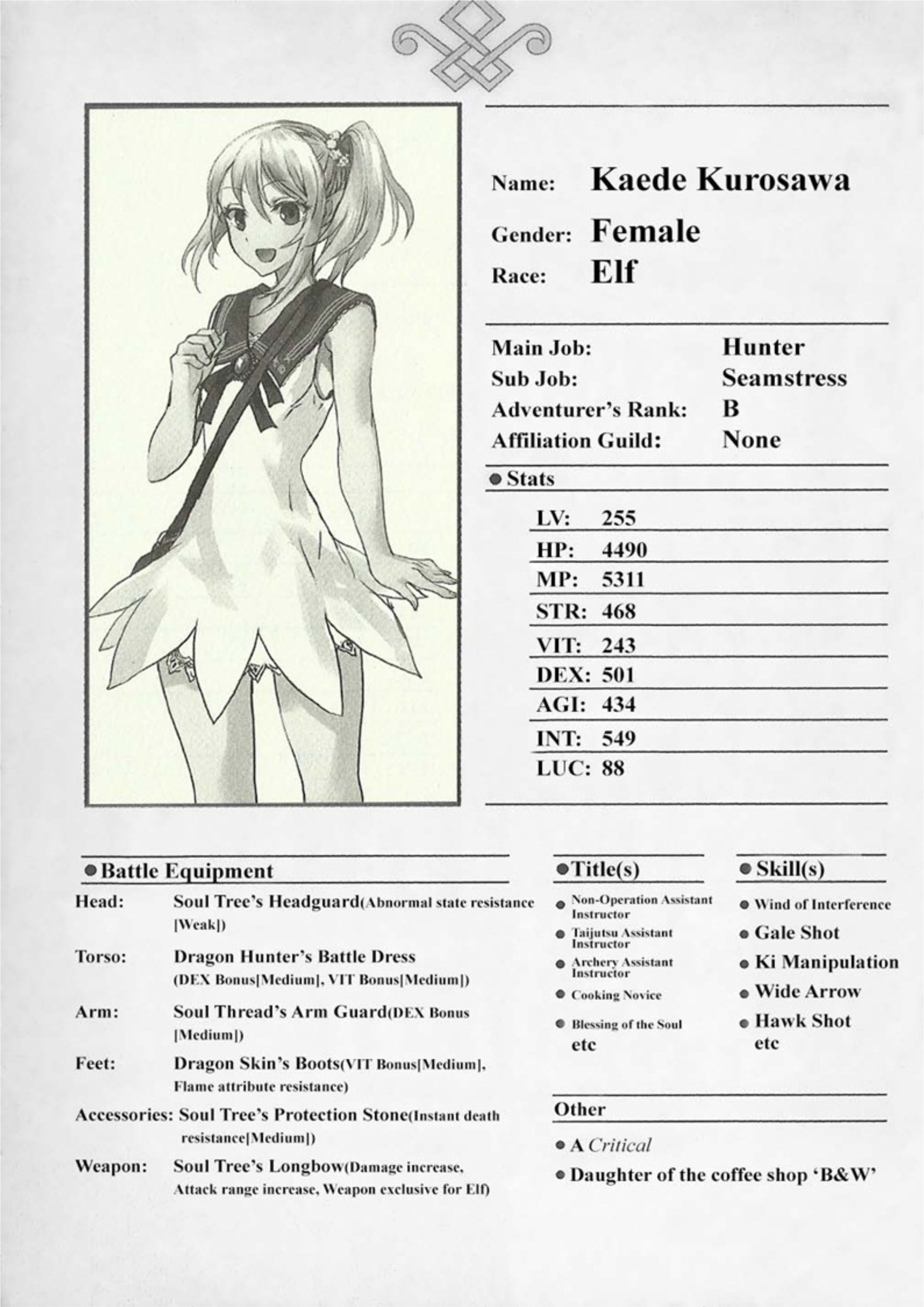 The New Gate V5 Illustration - Megumi Novel