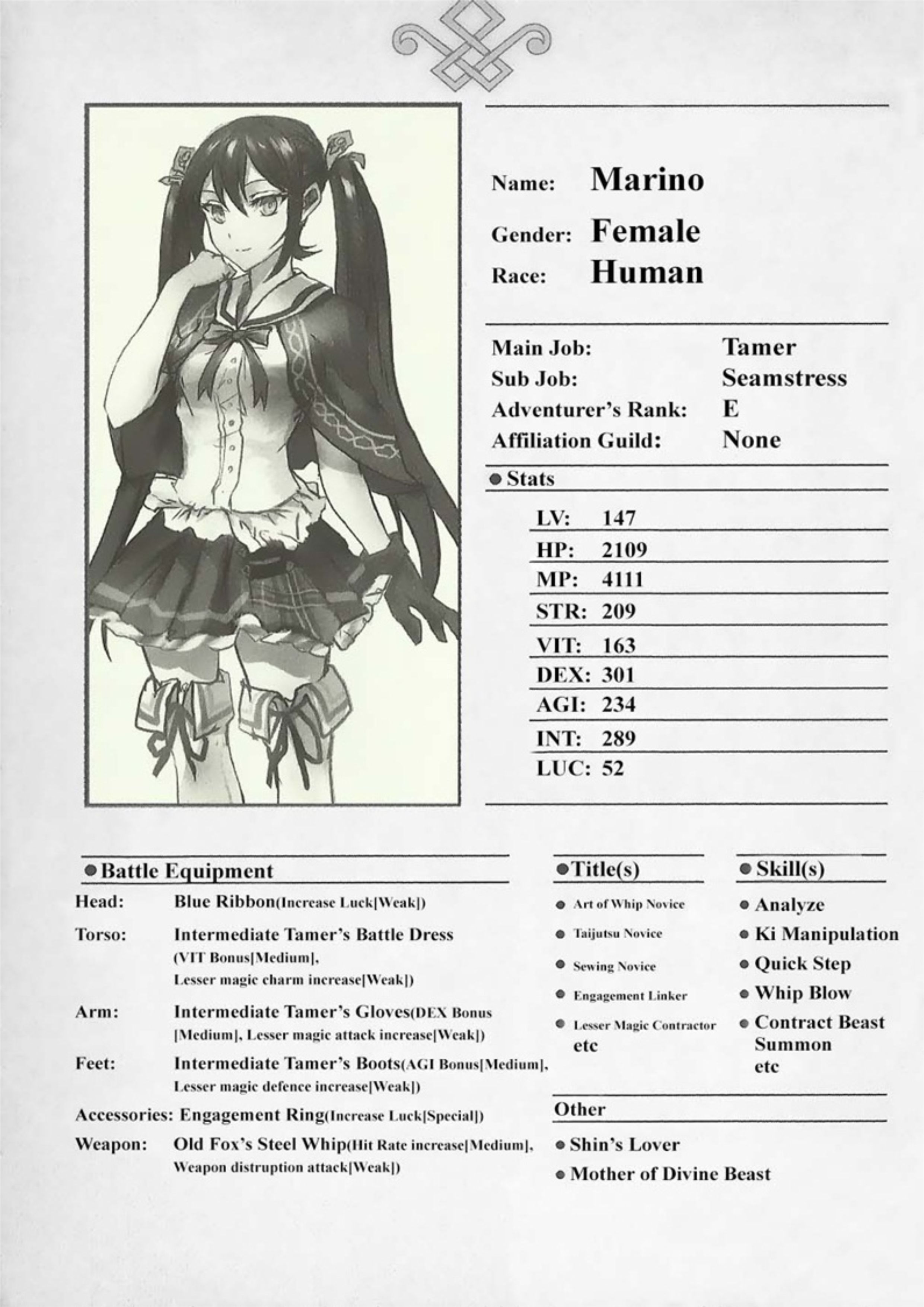 The New Gate V5 Illustration - Megumi Novel