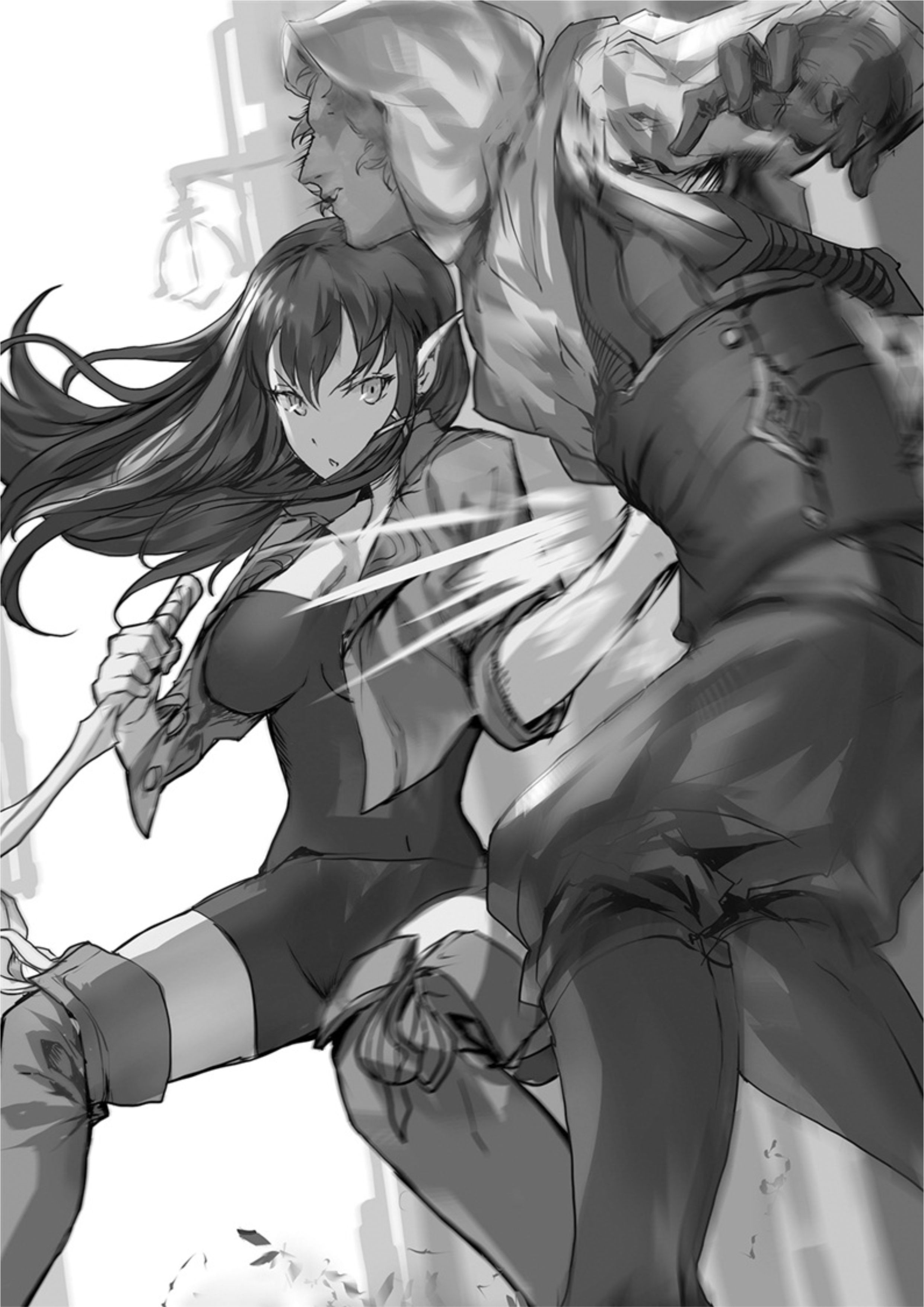 The New Gate V6 Illustration - Megumi Novel