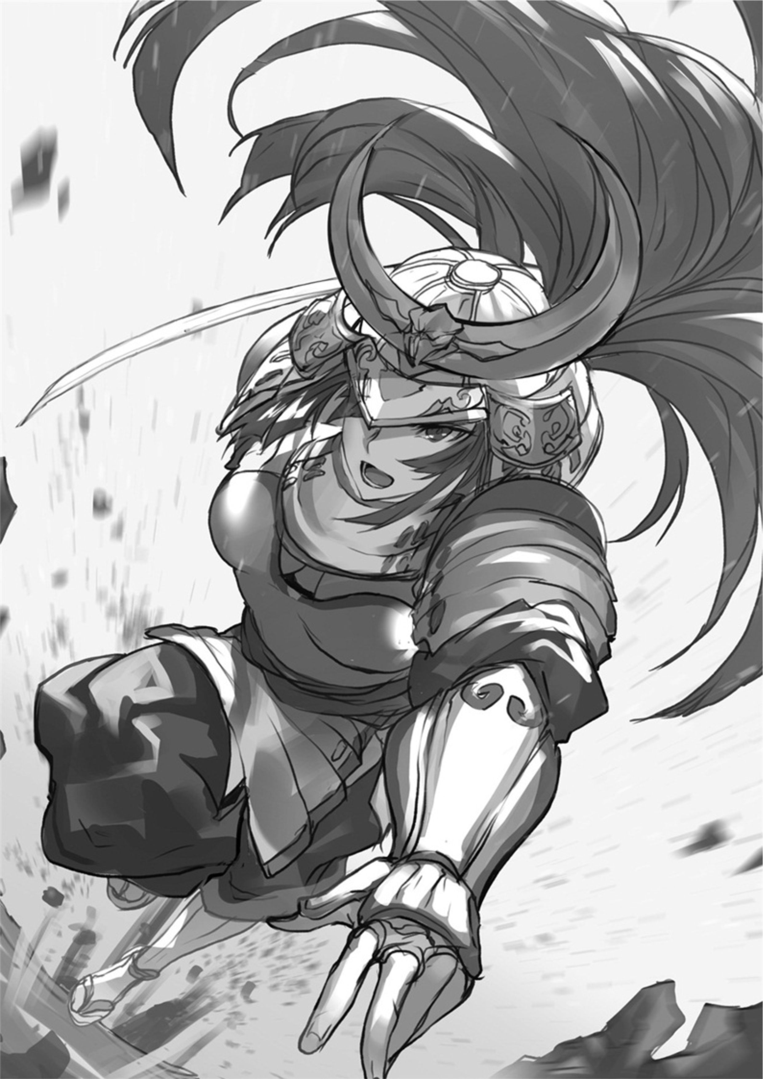 The New Gate V8 Illustration - Megumi Novel