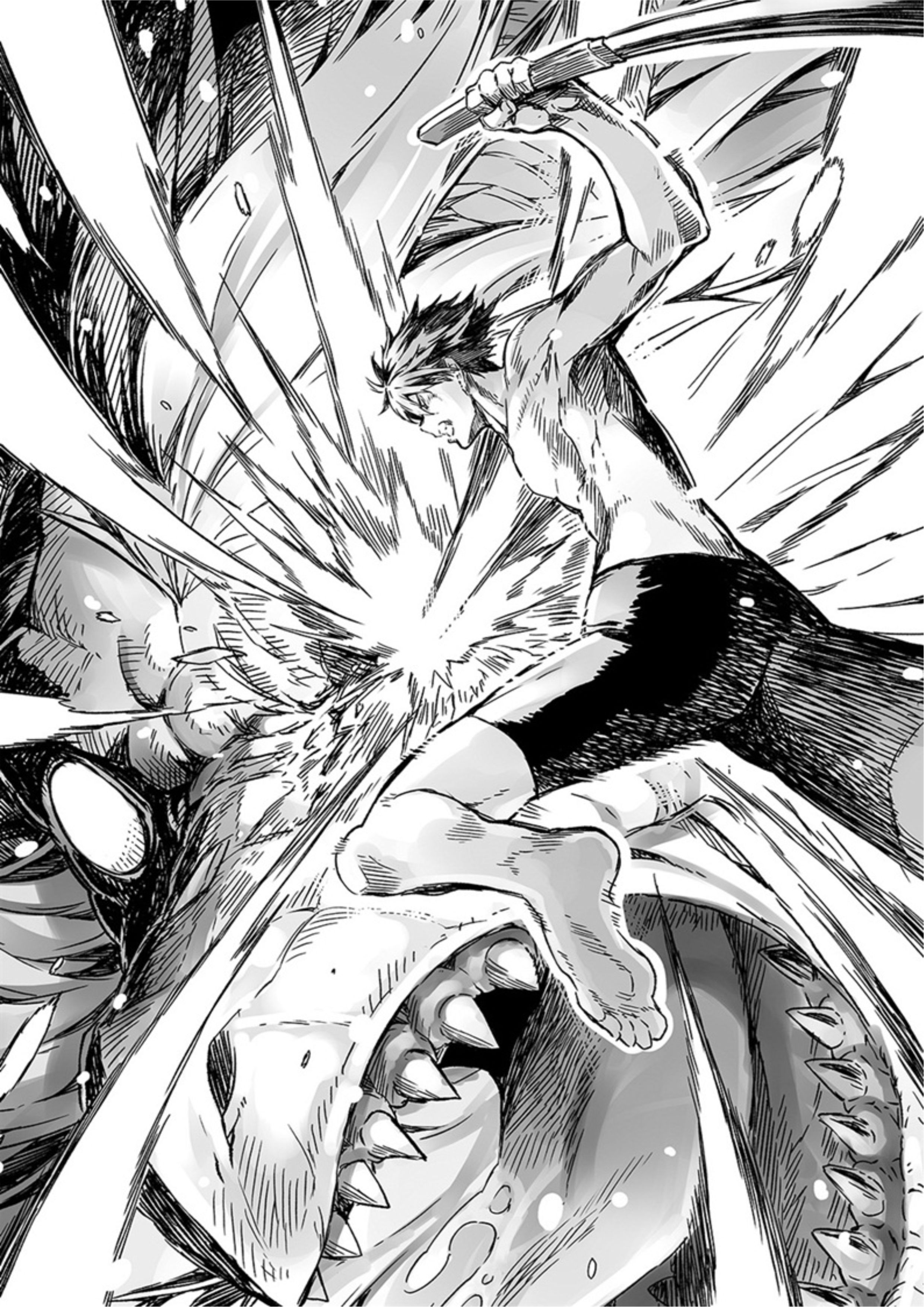 The New Gate V11 Illustration - Megumi Novel