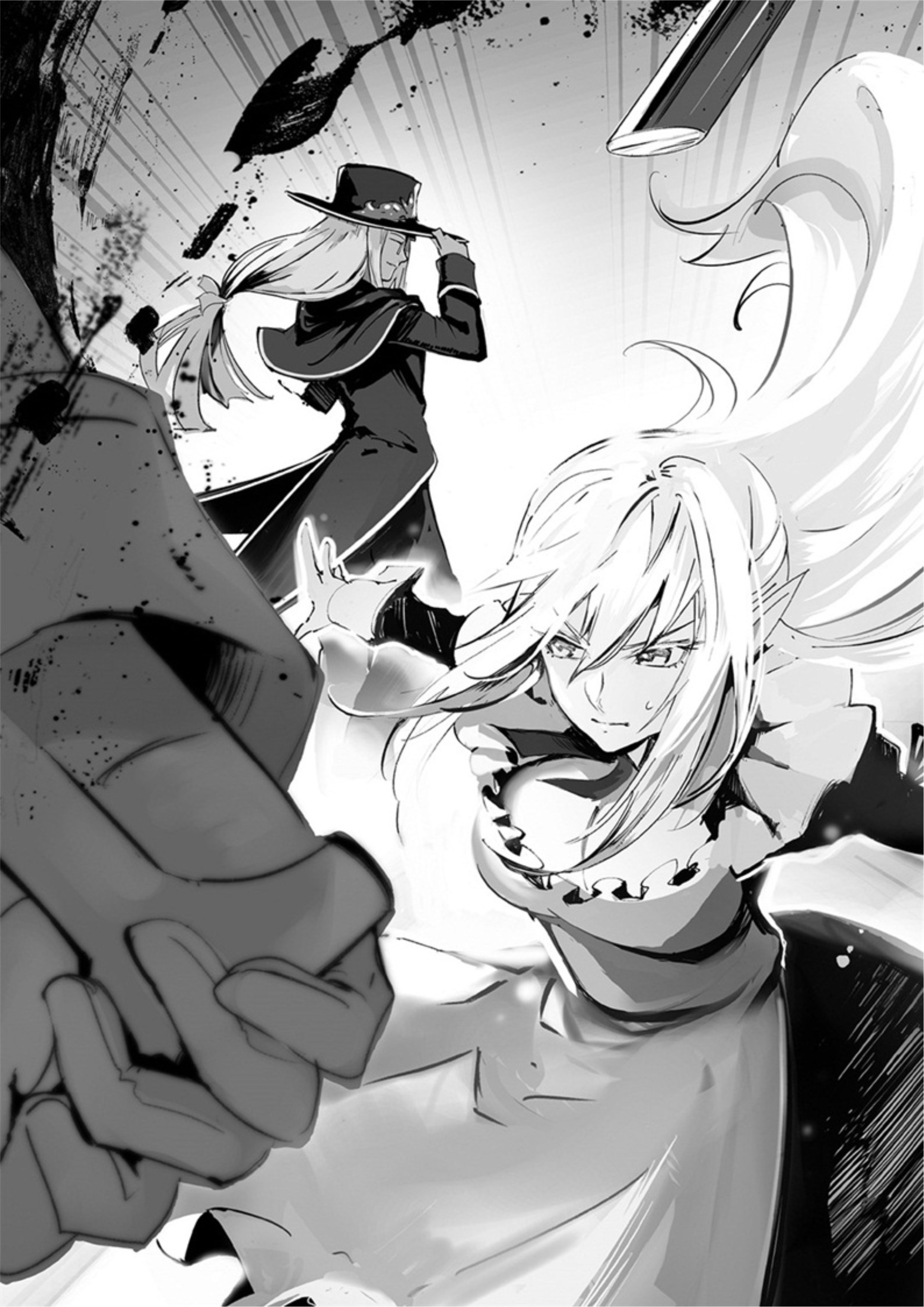 The New Gate V12 Illustration - Megumi Novel