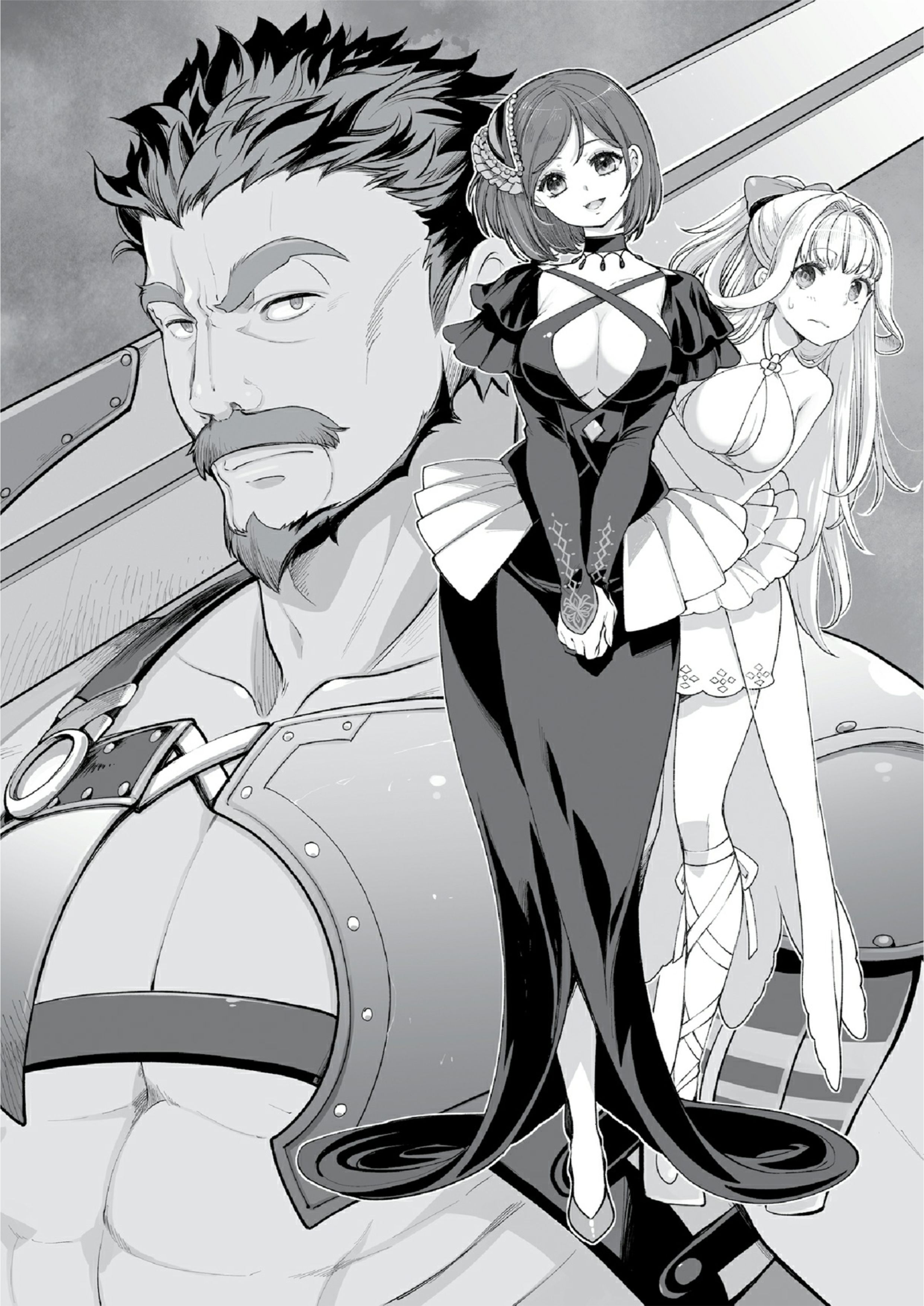 This Hero is Invincible V1 Illustration - Megumi Novel