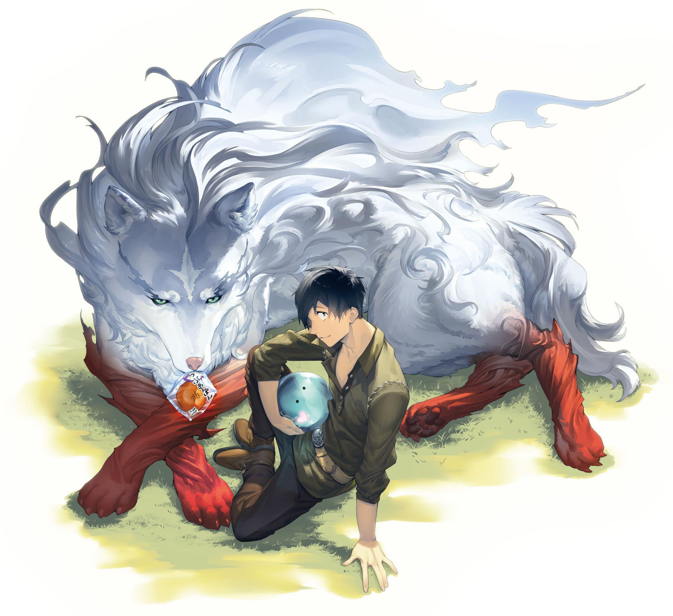 Tondemo Skill de Isekai Hourou Meshi V1 Illustration - Megumi Novel