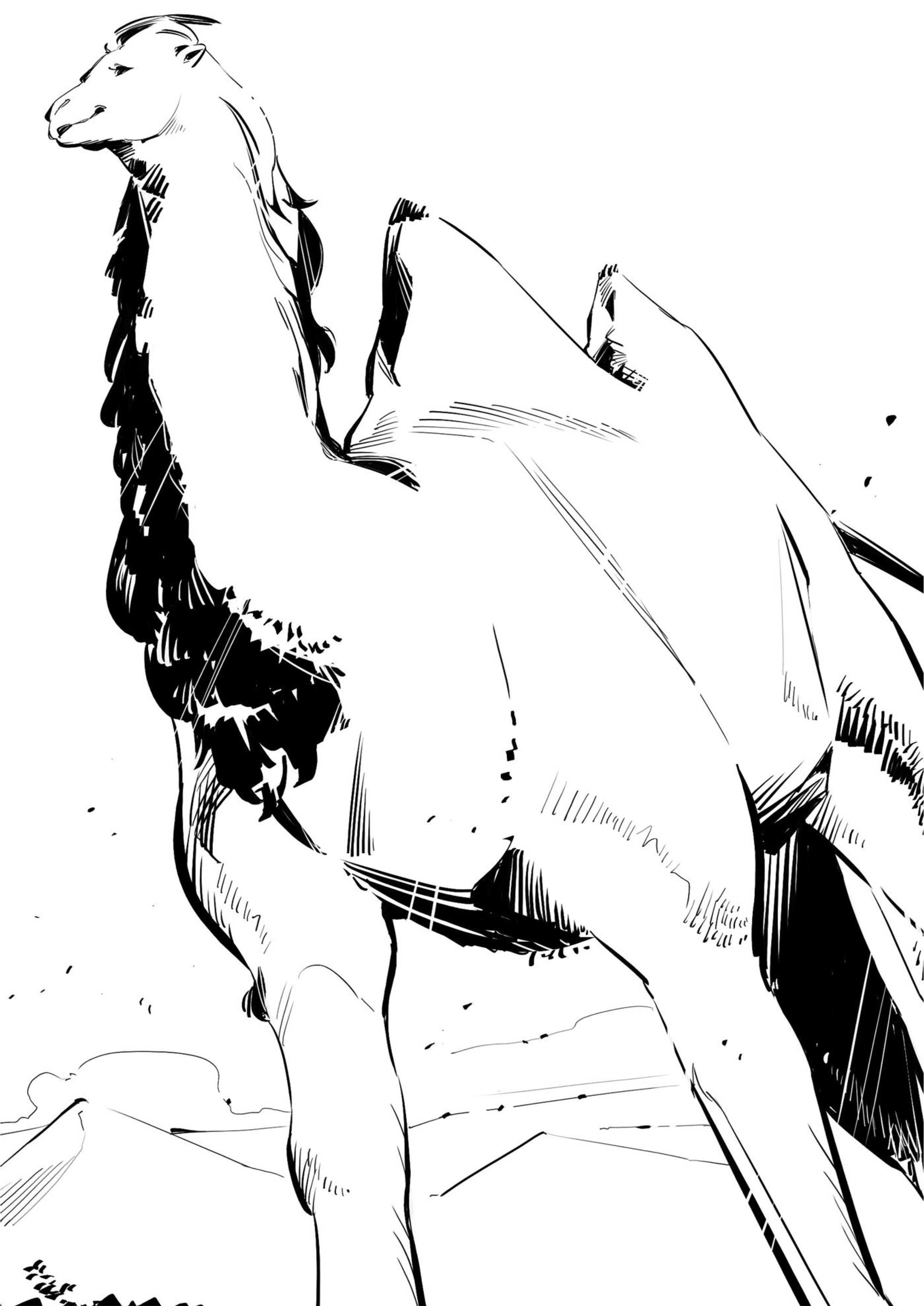 Tondemo Skill de Isekai Hourou Meshi V12 Illustration - Megumi Novel