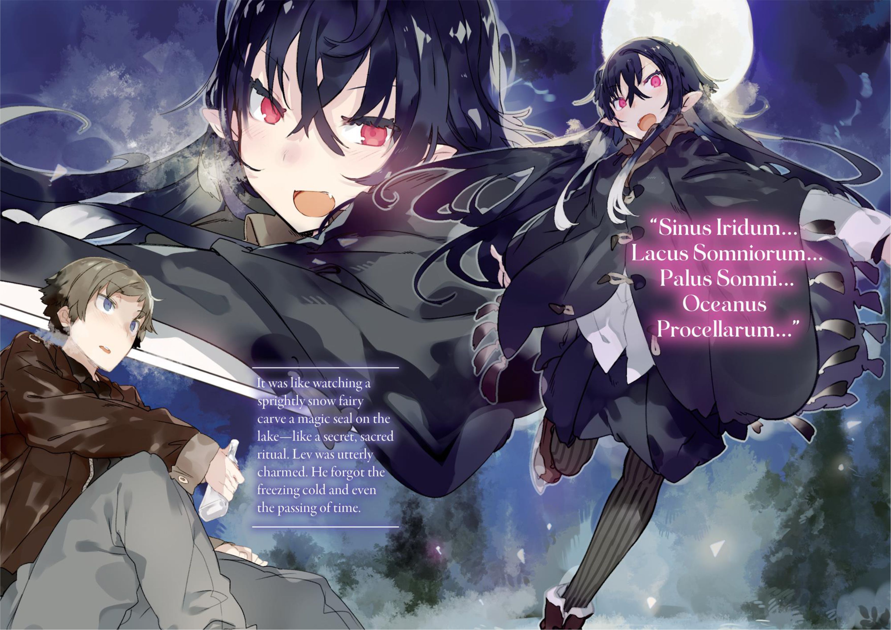 Tsuki to Layka to Nosferatu V1 Illustration - Megumi Novel