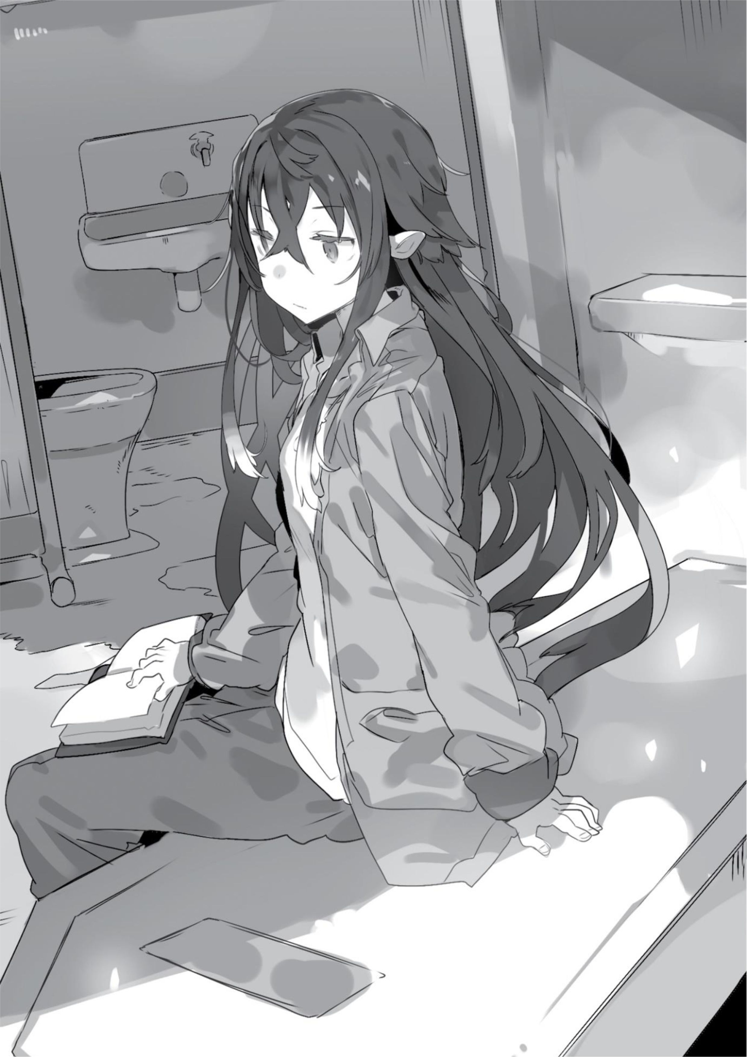 Tsuki to Layka to Nosferatu V1 Illustration - Megumi Novel