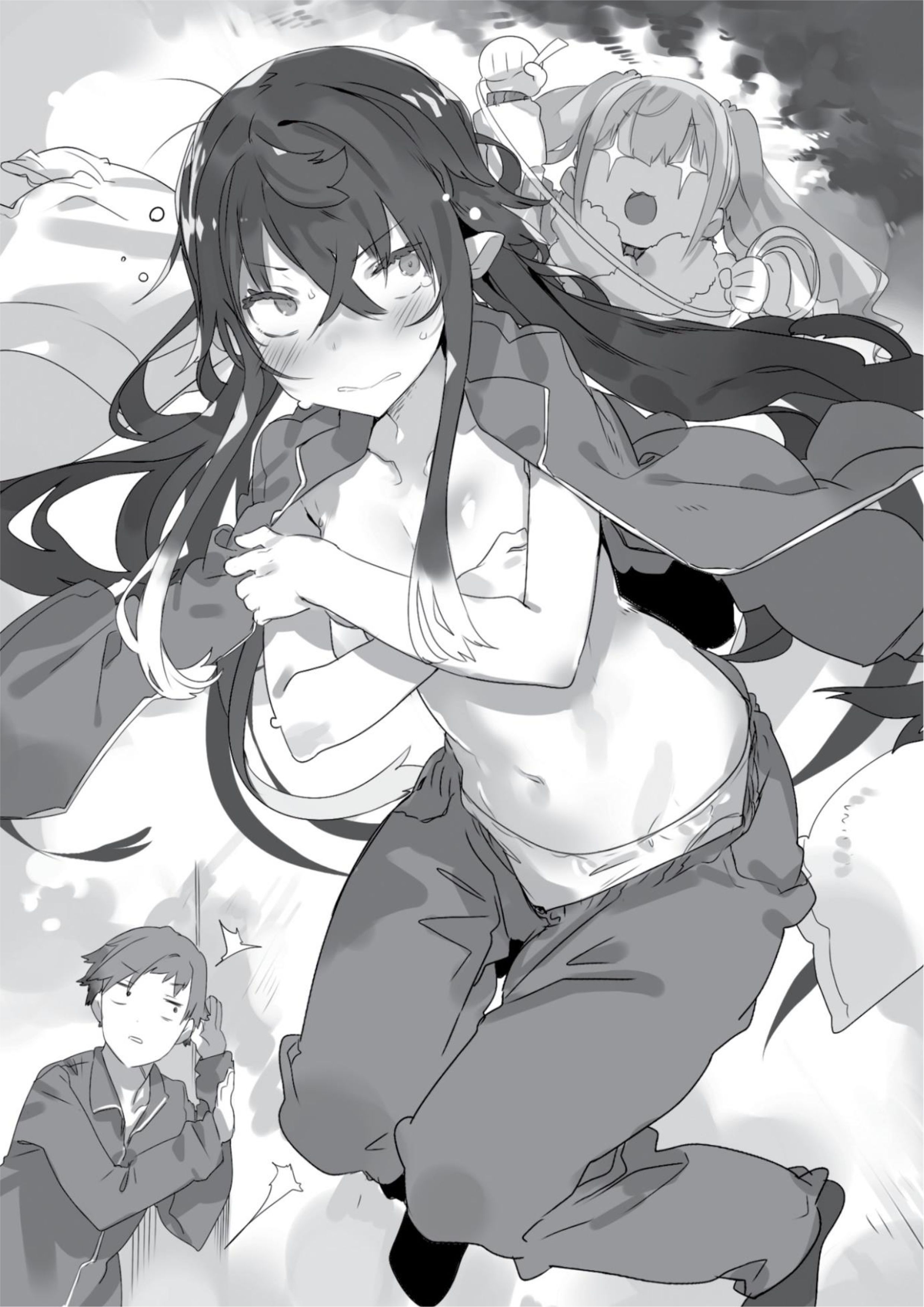 Tsuki to Layka to Nosferatu V1 Illustration - Megumi Novel