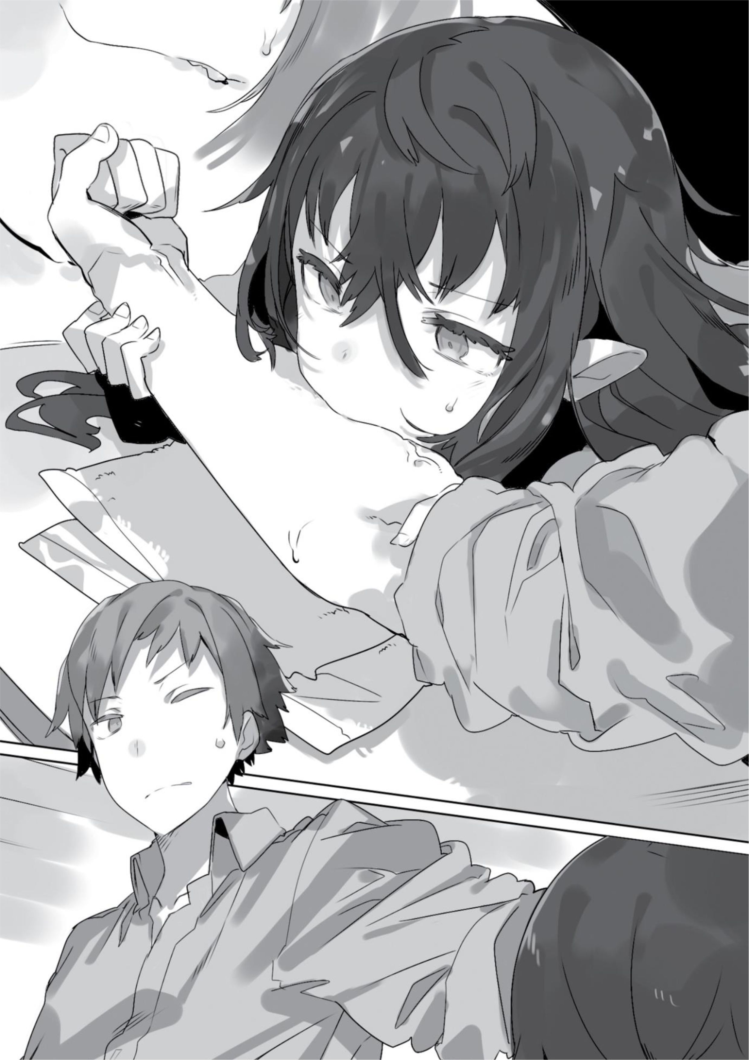 Tsuki to Layka to Nosferatu V1 Illustration - Megumi Novel