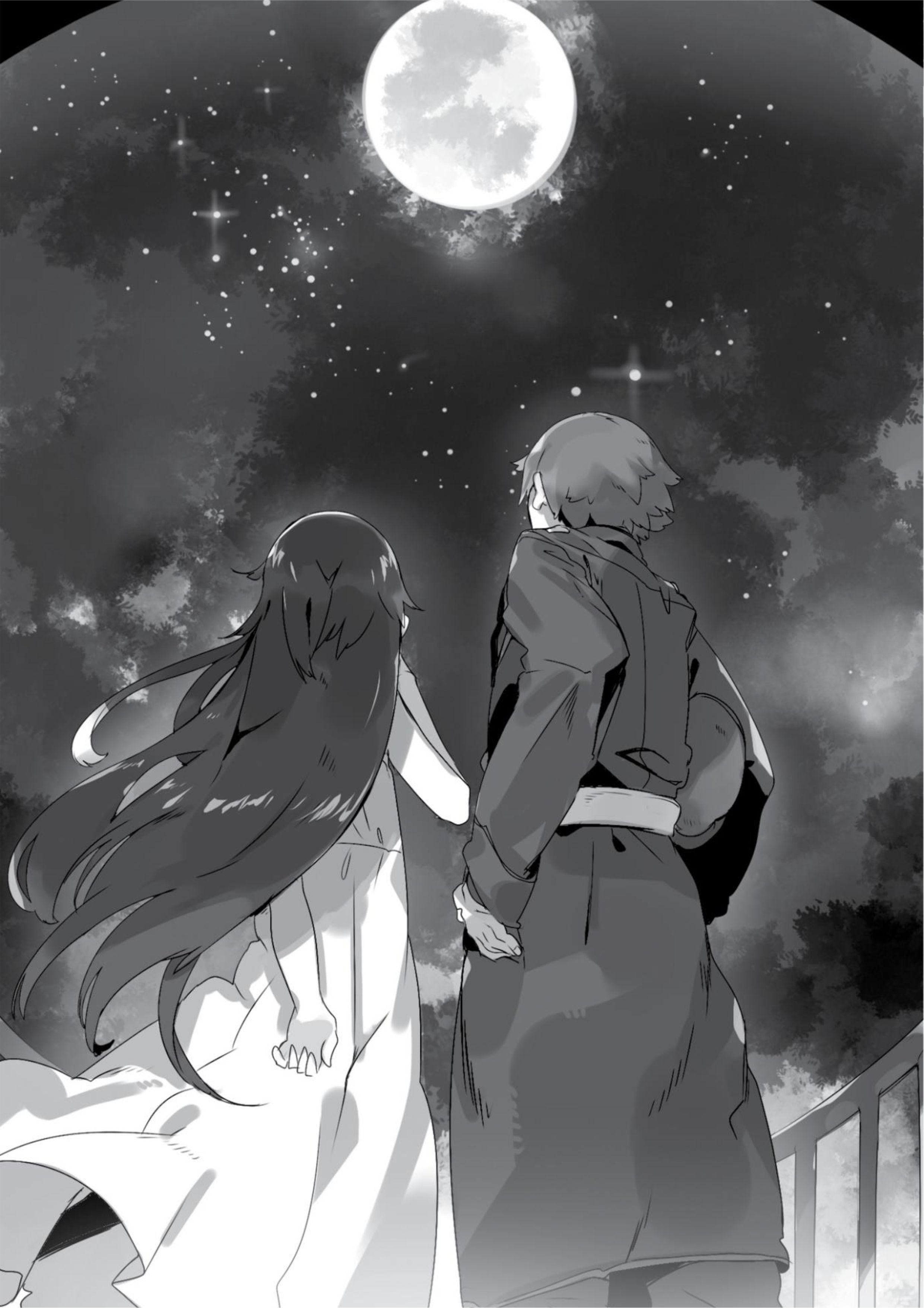 Tsuki to Layka to Nosferatu V2 Illustration - Megumi Novel