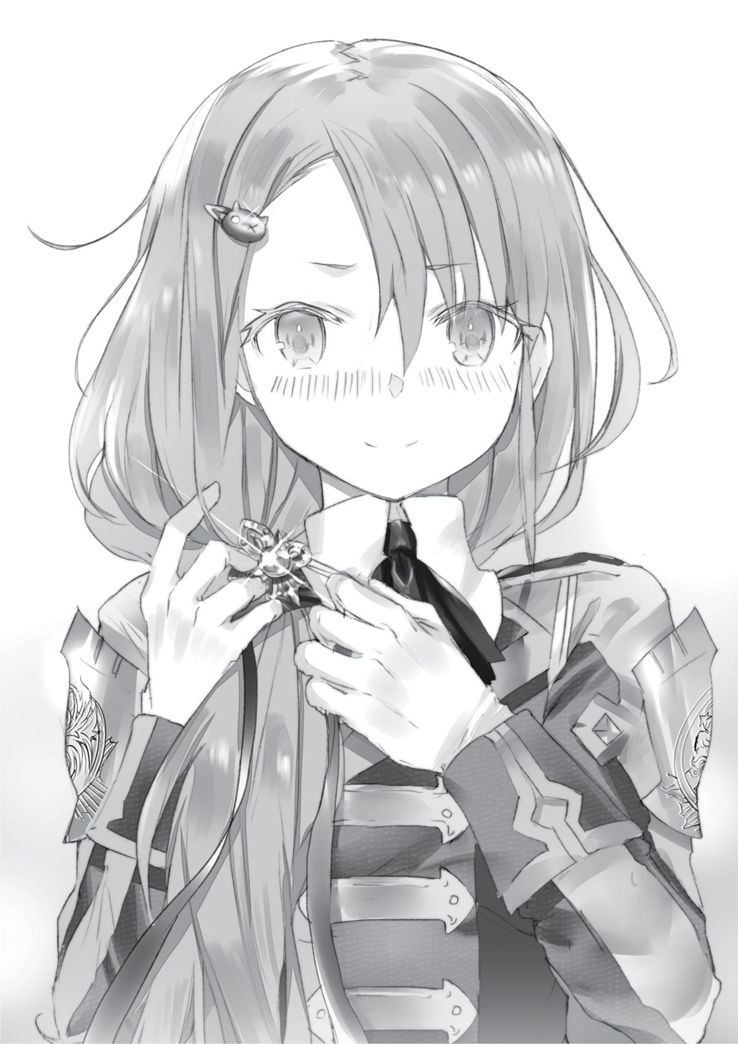 Uchinukareta Senjou wa, Soko de Kieteiro V1 Illustration - Megumi Novel