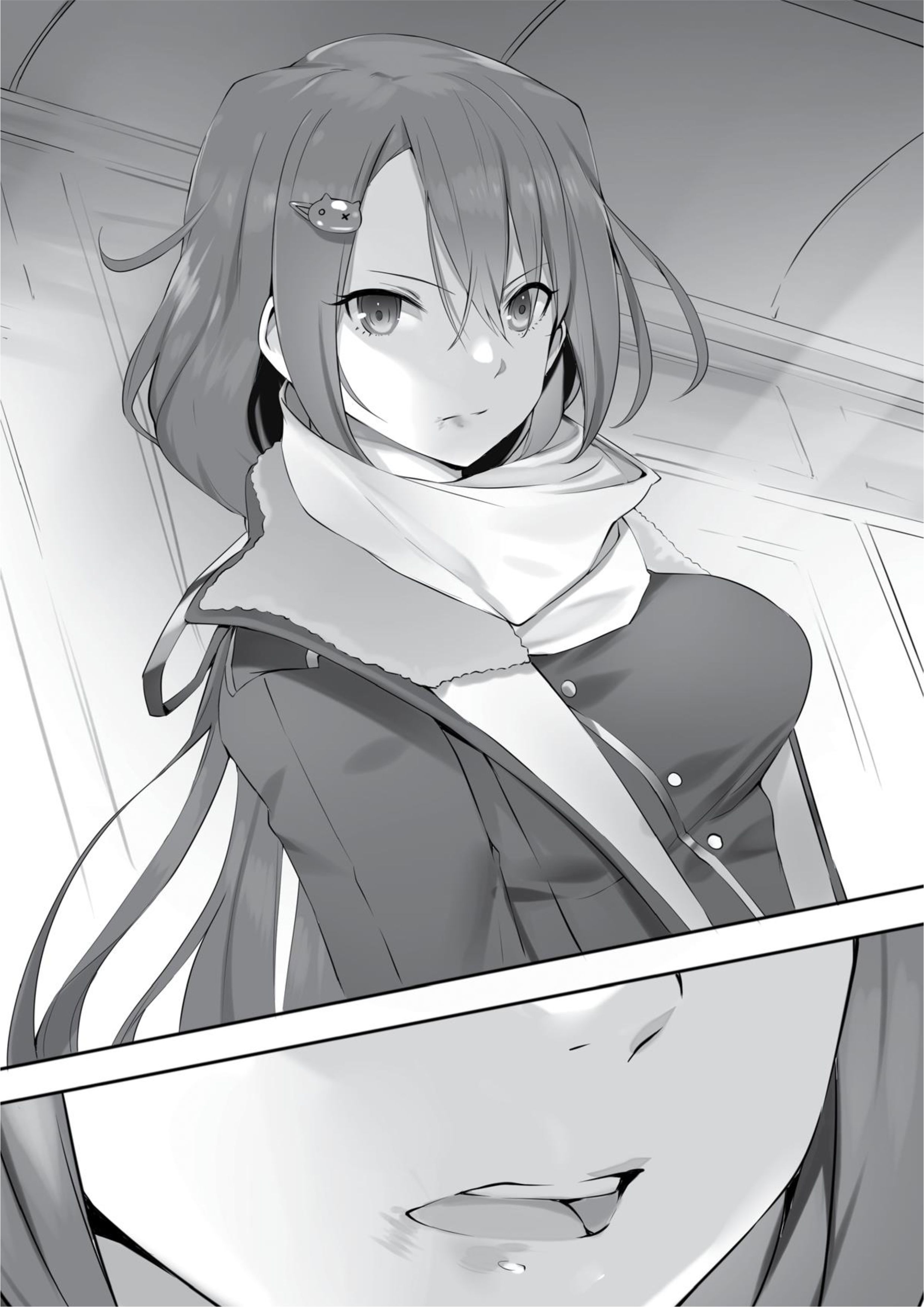 Uchinukareta Senjou wa, Soko de Kieteiro V2 Illustration - Megumi Novel